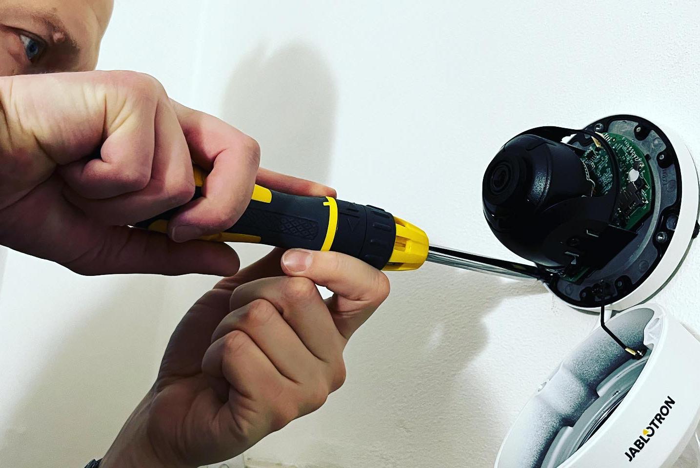 Black dolphin s.r.o.