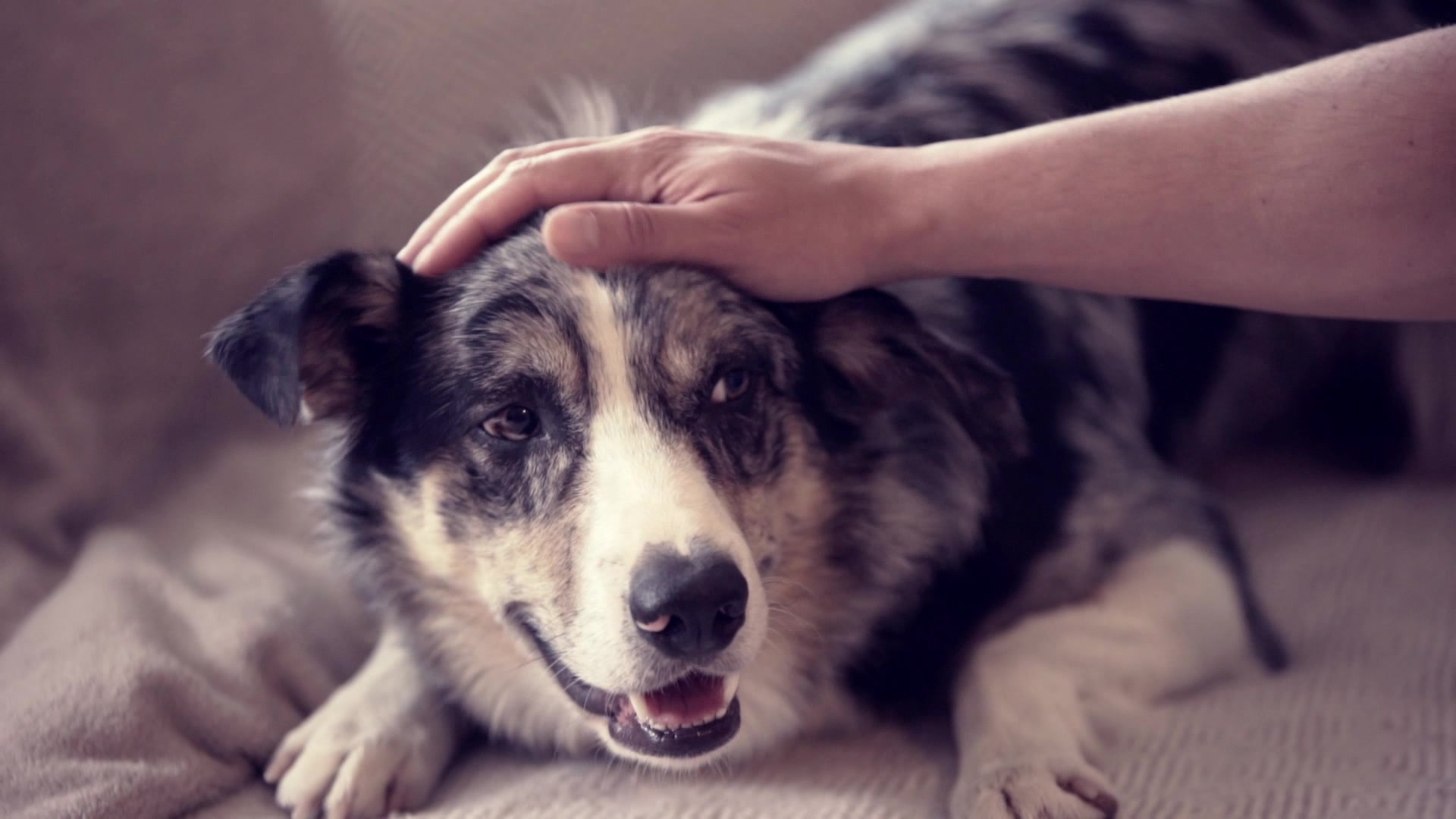 Express Servis - Servis iPhone, Samsung, Xiaomi, Honor foto 2 (náhled videa)