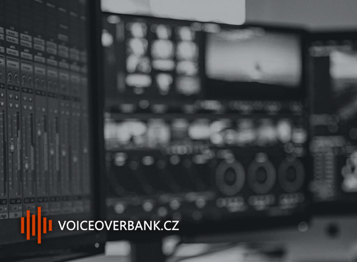 VOICEOVERBANK.CZ foto 3