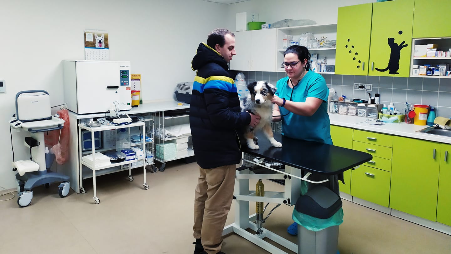 Veterina Lhota - MVDr. Jana Ambruzová foto 4