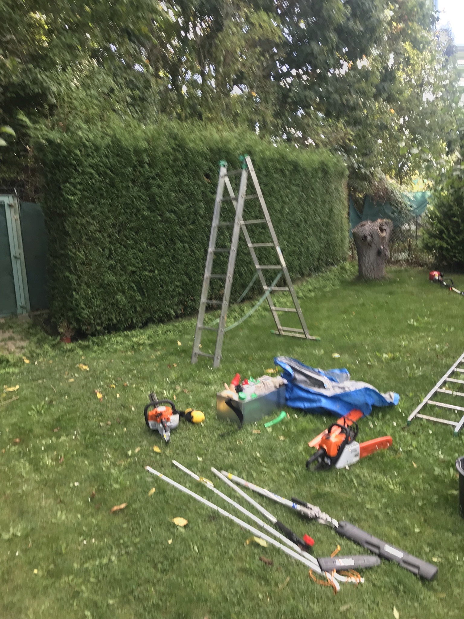 Michal Taich - Hodinový manžel foto 2