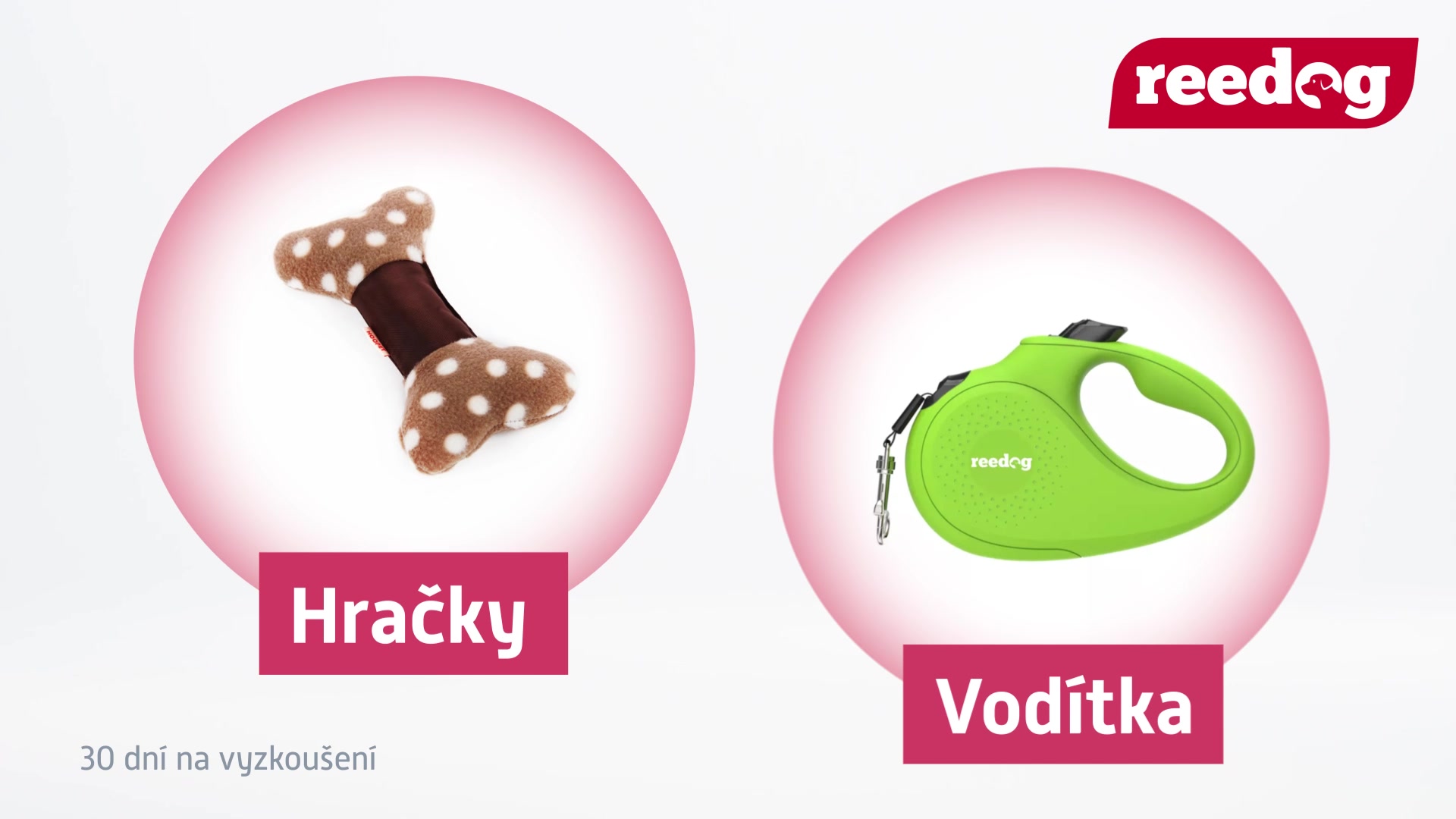 Reedog.cz foto 2 (náhled videa)