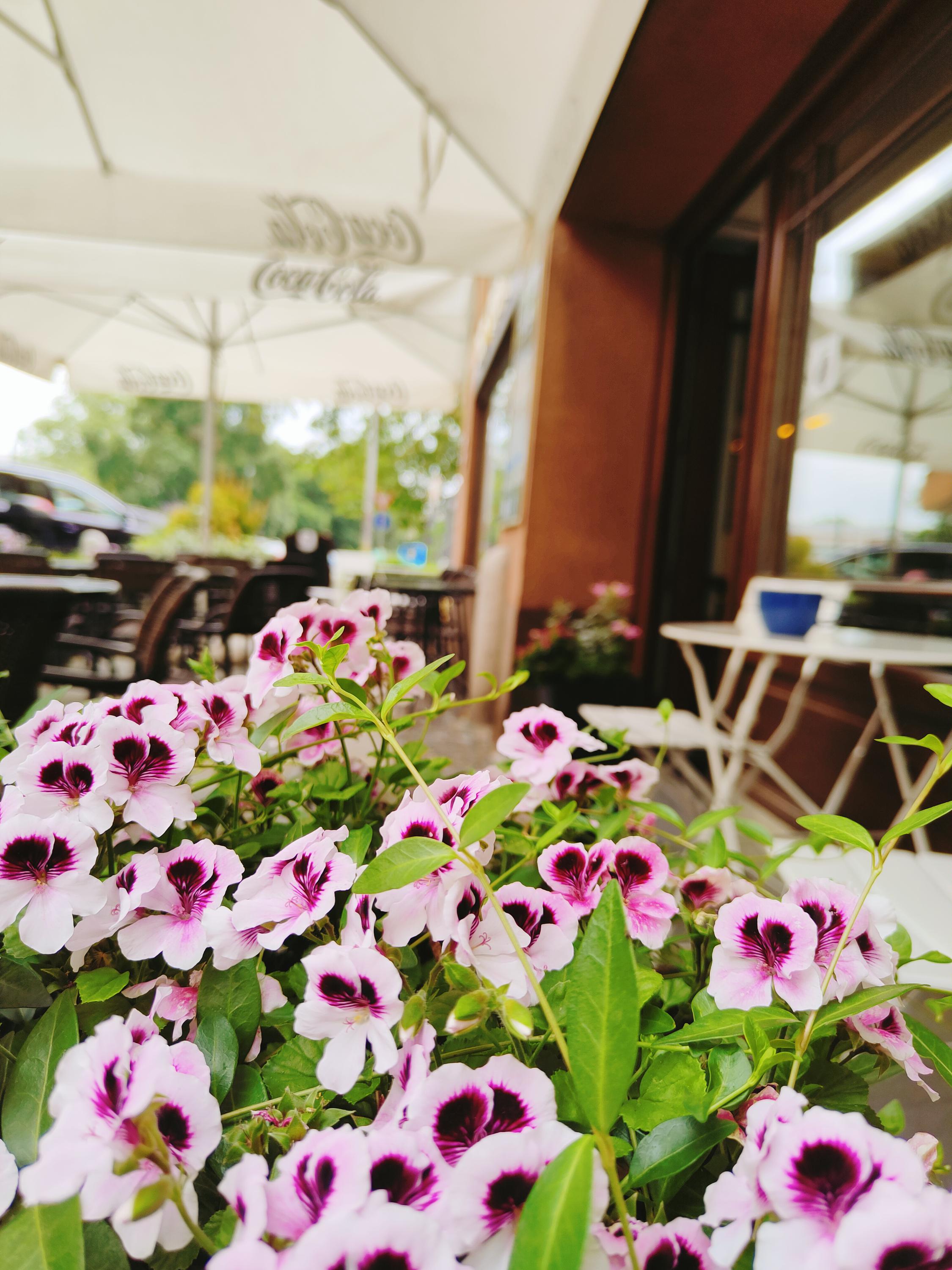 Fér Café foto 4