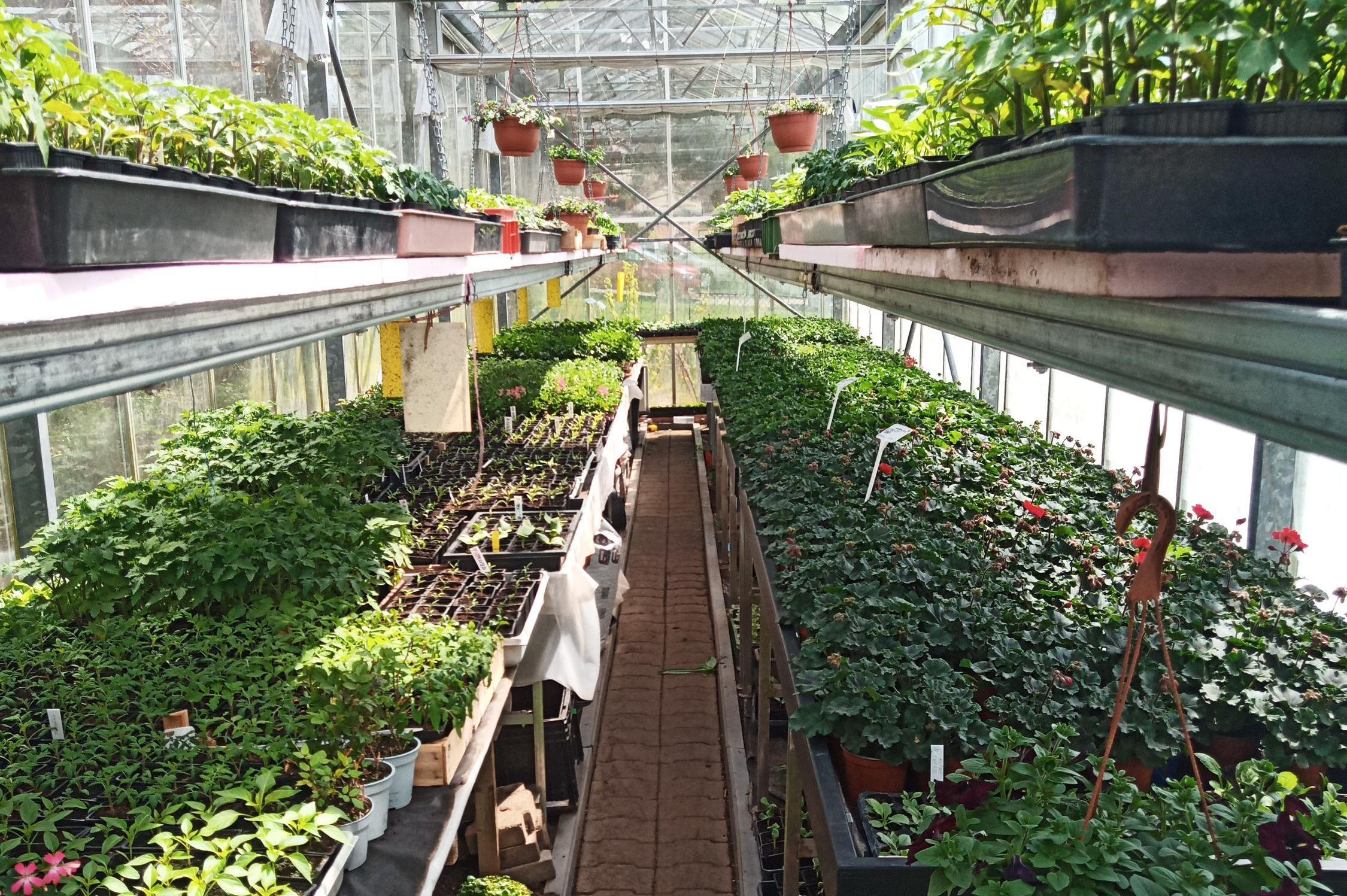 Zahradnictví u Jany foto 1