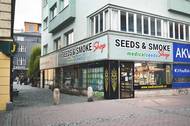 Fotografie Medical Seeds