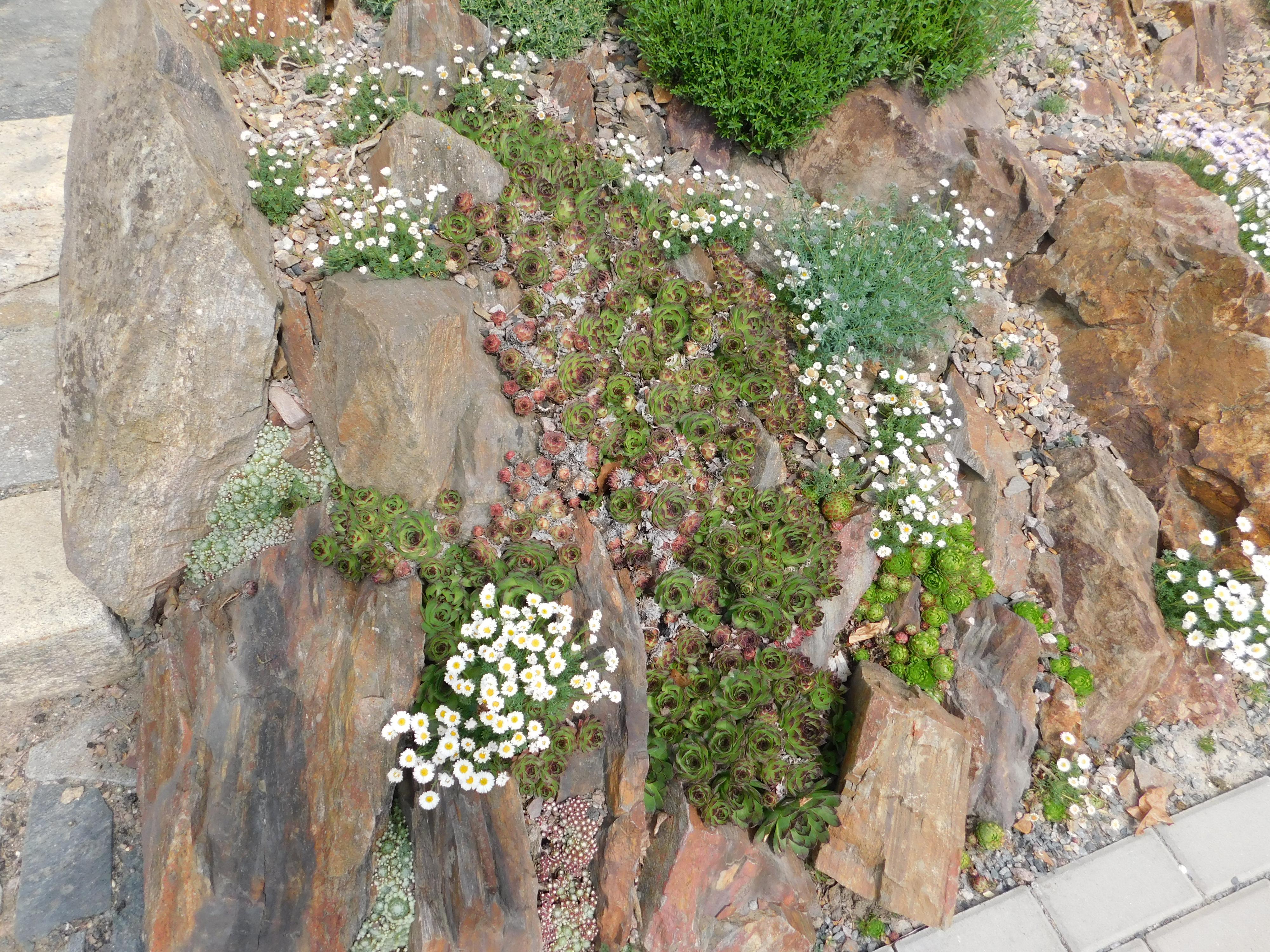 Kavárna Staré časy foto 6