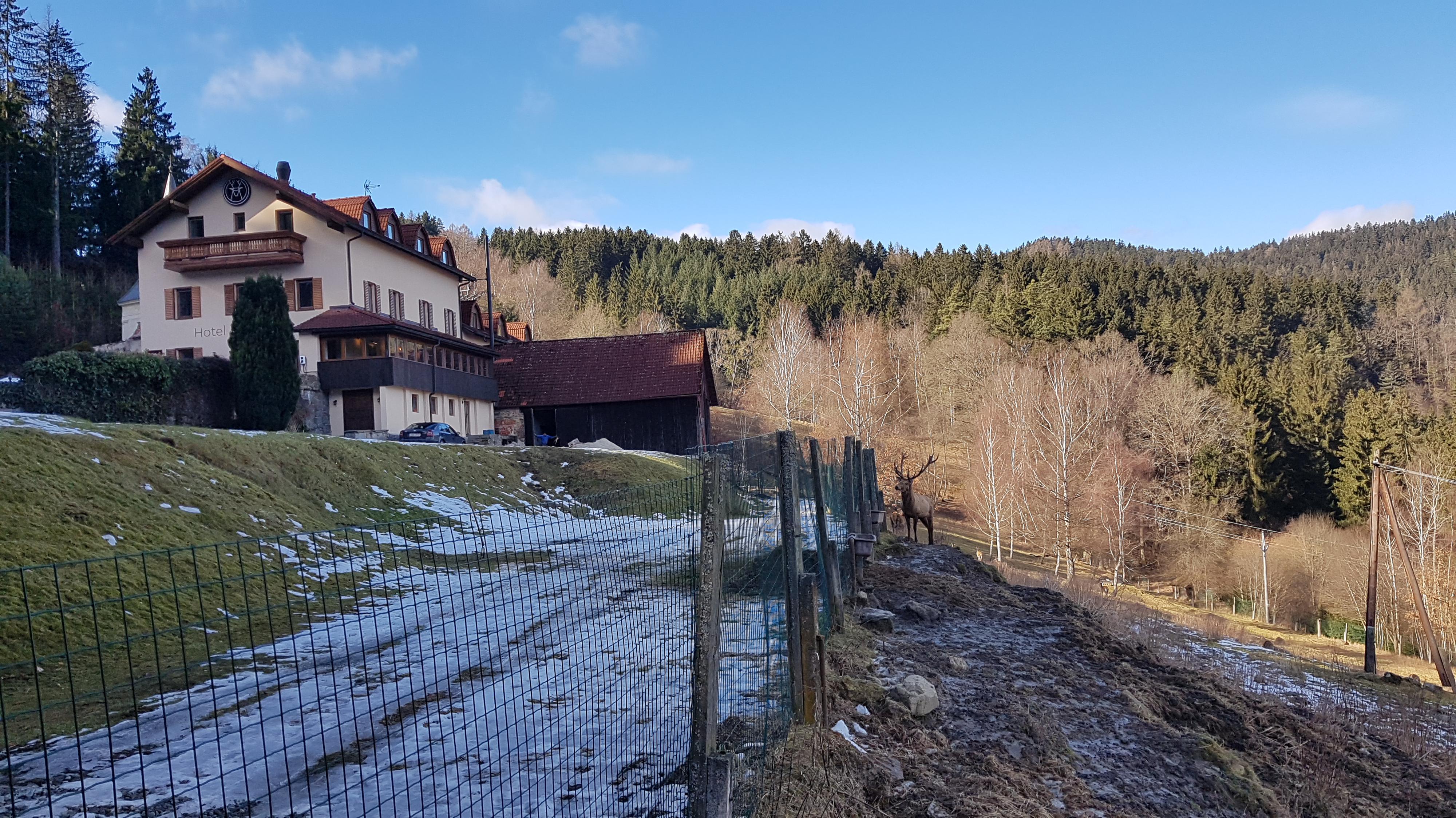 Hotel Studenec foto 5