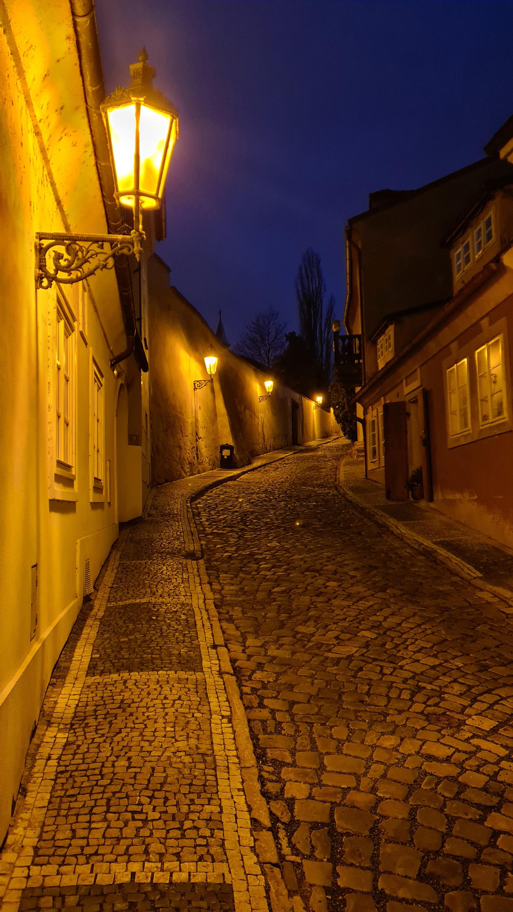 Garden Residence Prague Castle foto 3