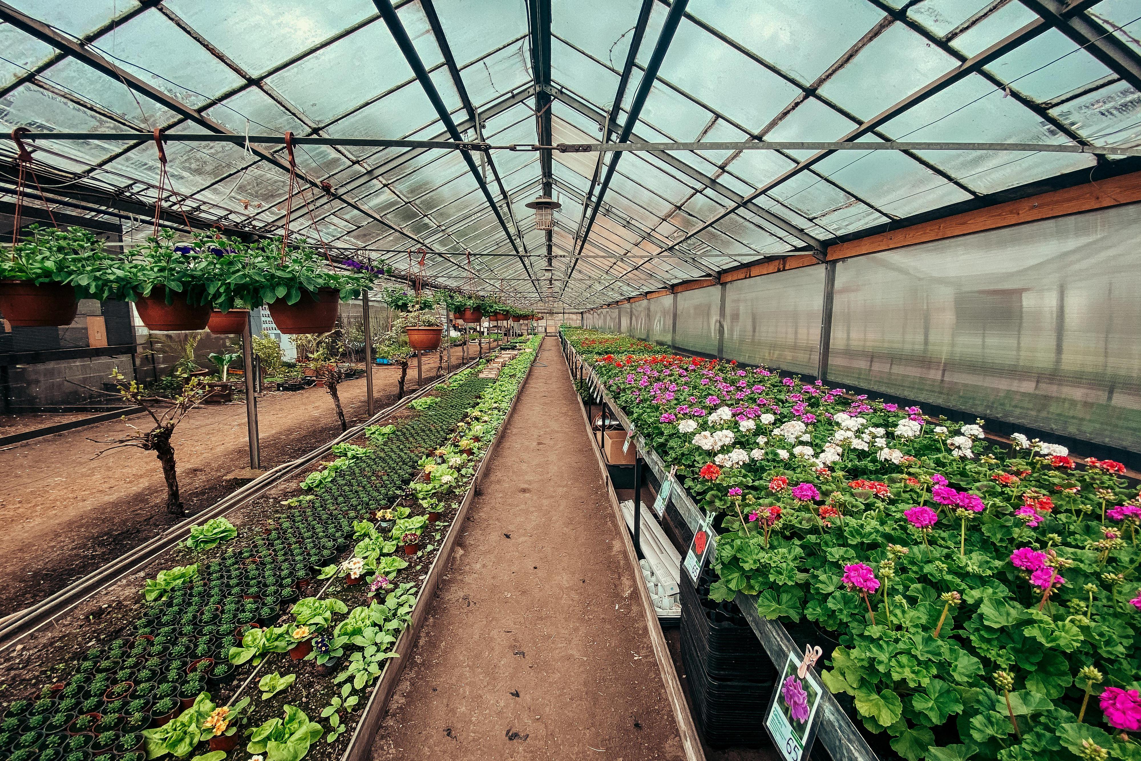 Zahradnictví SBAUM foto 1