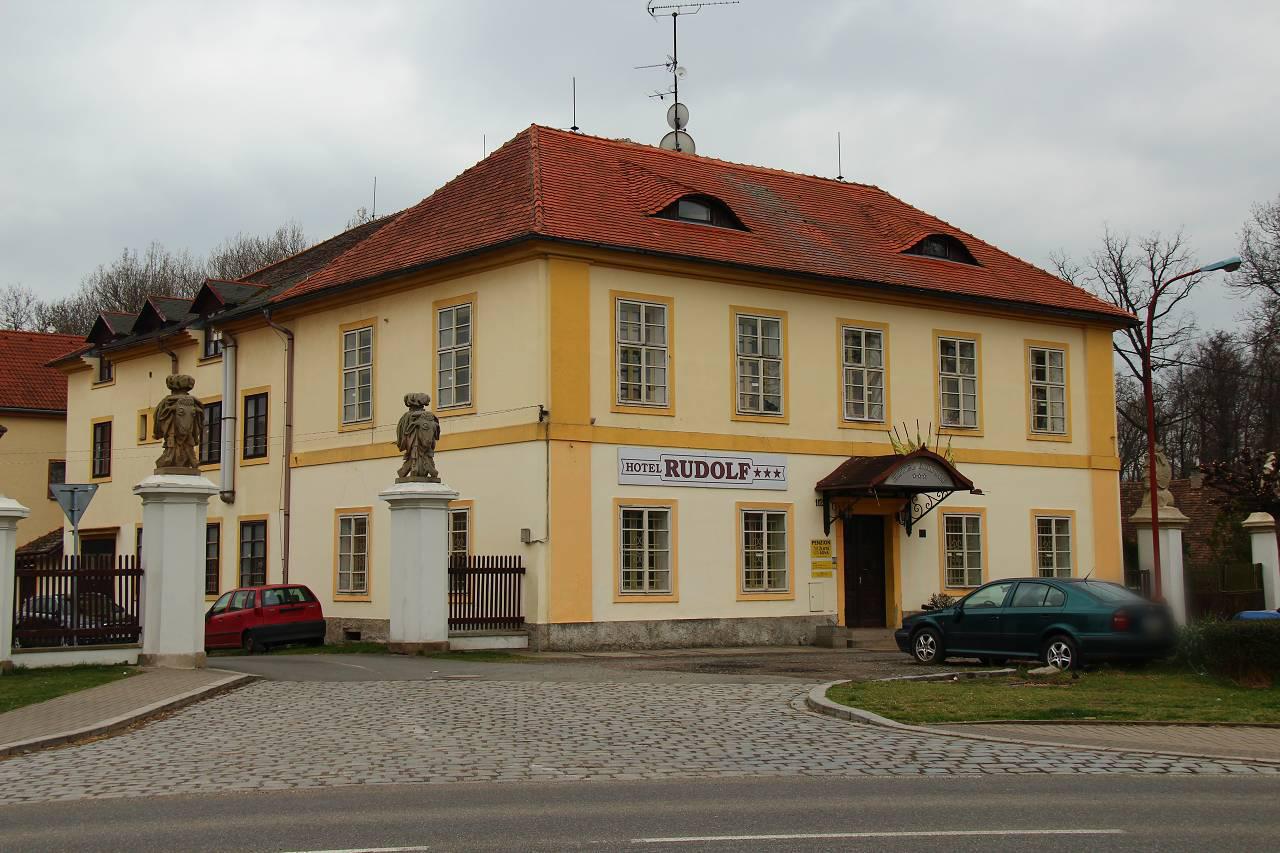 ŽLUTÁ SOVA foto 5