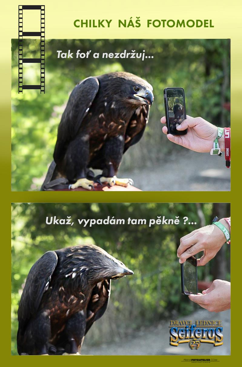 Dravci Lednice SEIFEROS foto 6