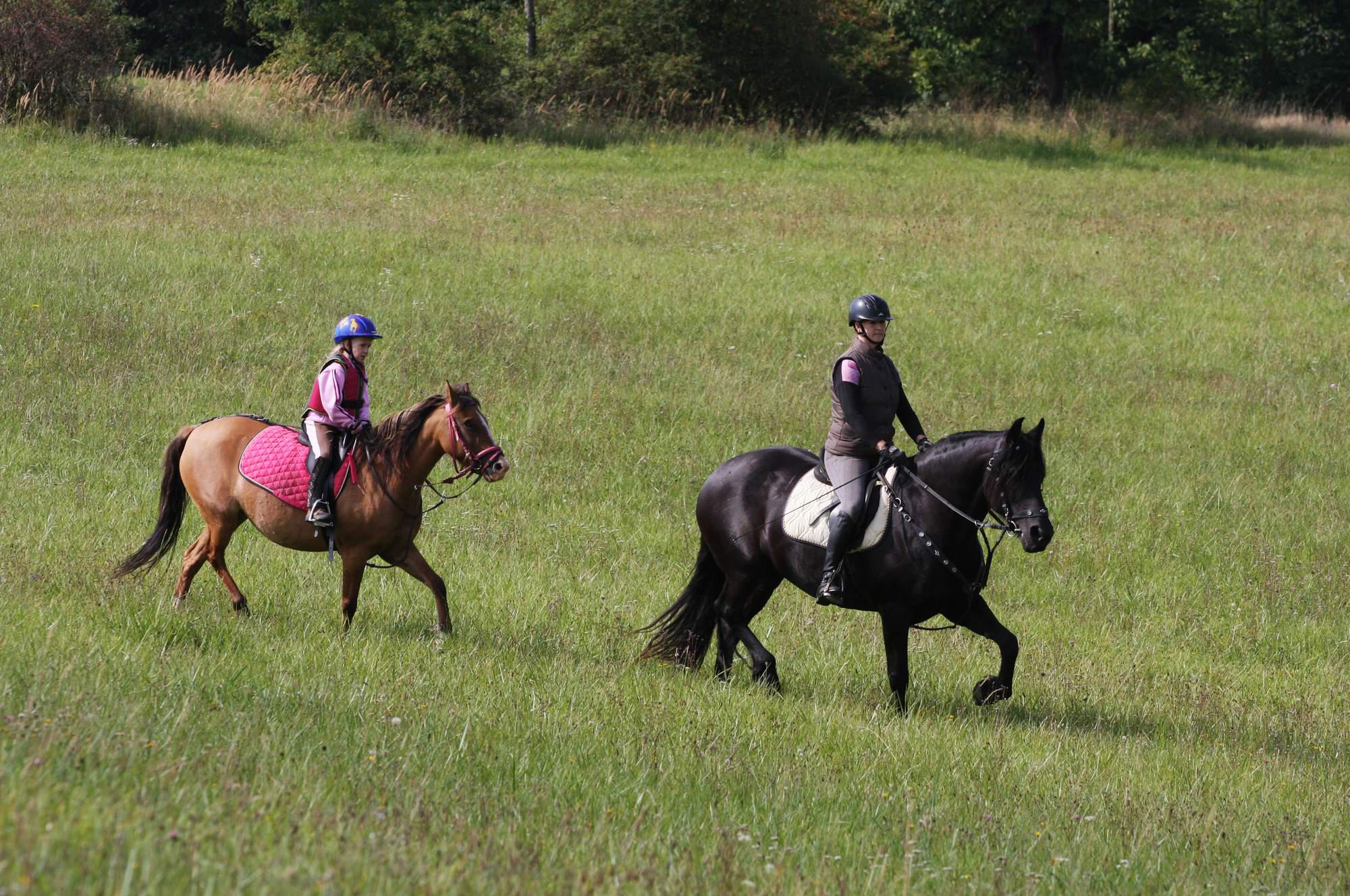 Stáj Lukava a Farma Dexter