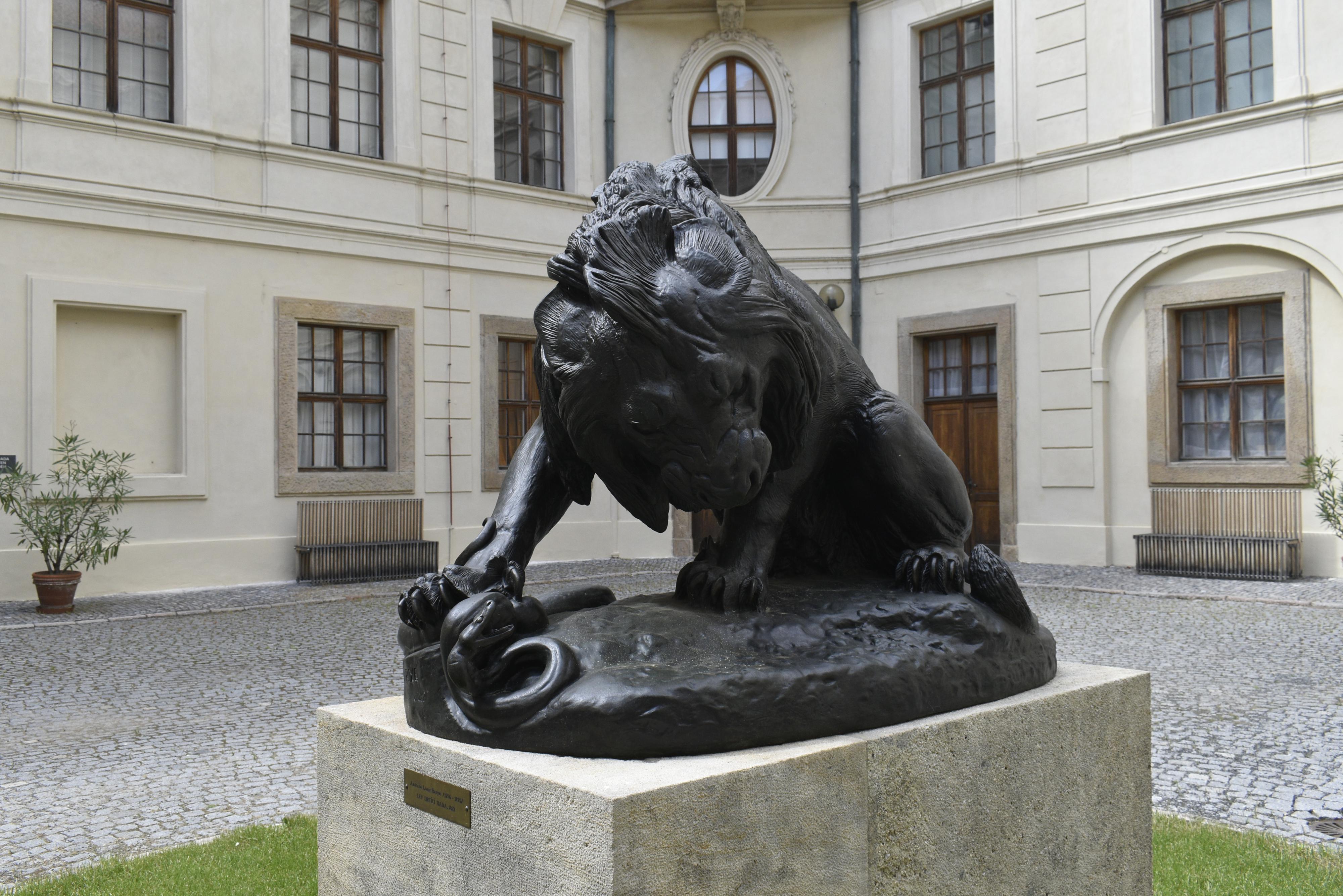 Café Šternberk - Mezi řádky foto 4