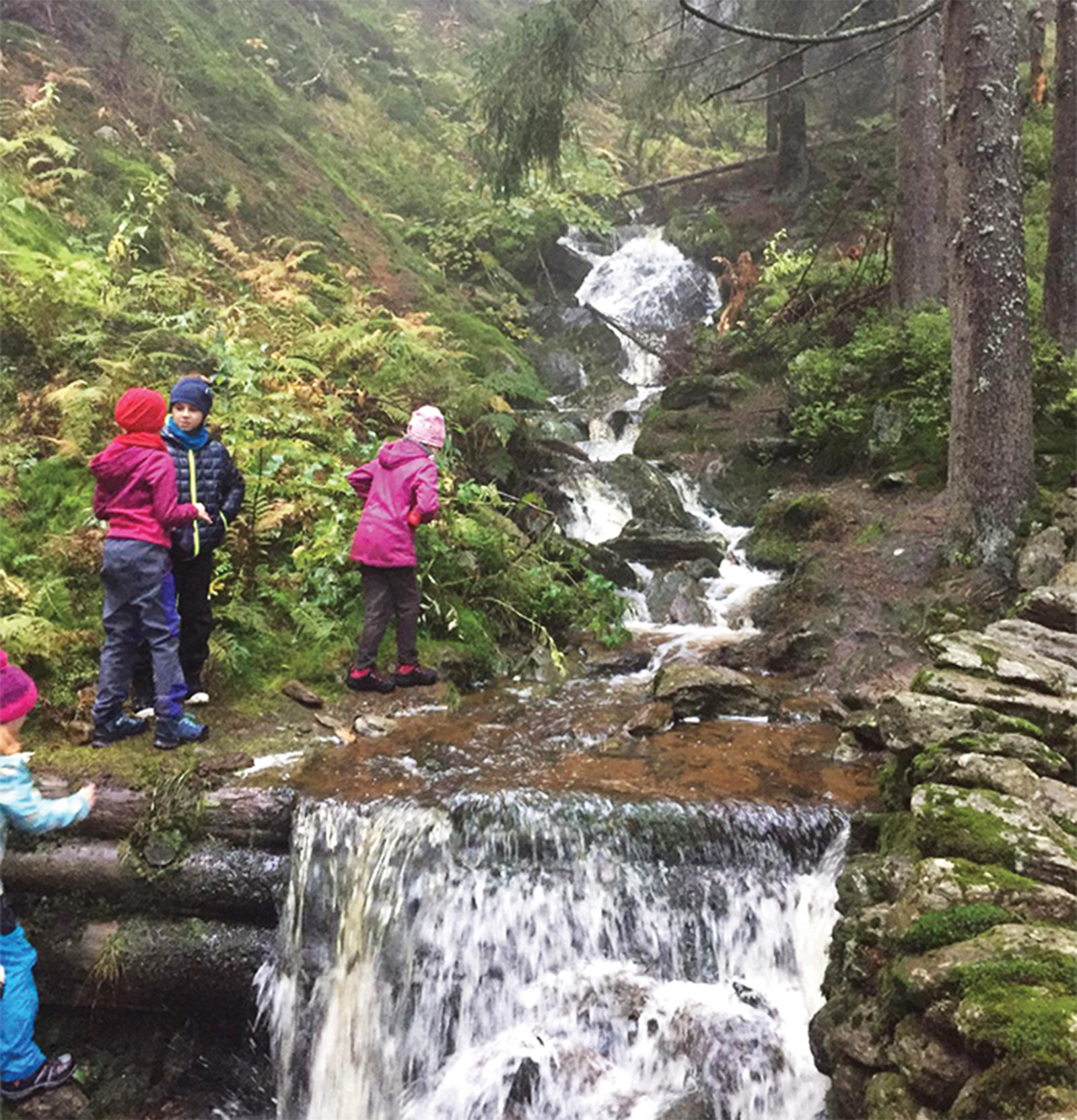 ZŠ PRO DĚTI foto 2