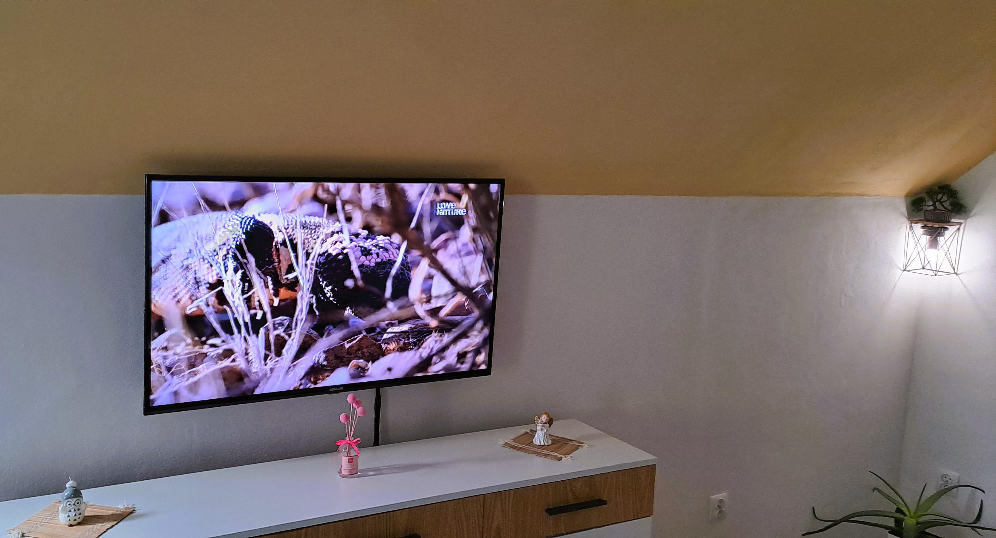 Apartmán u Ještěrky foto 5
