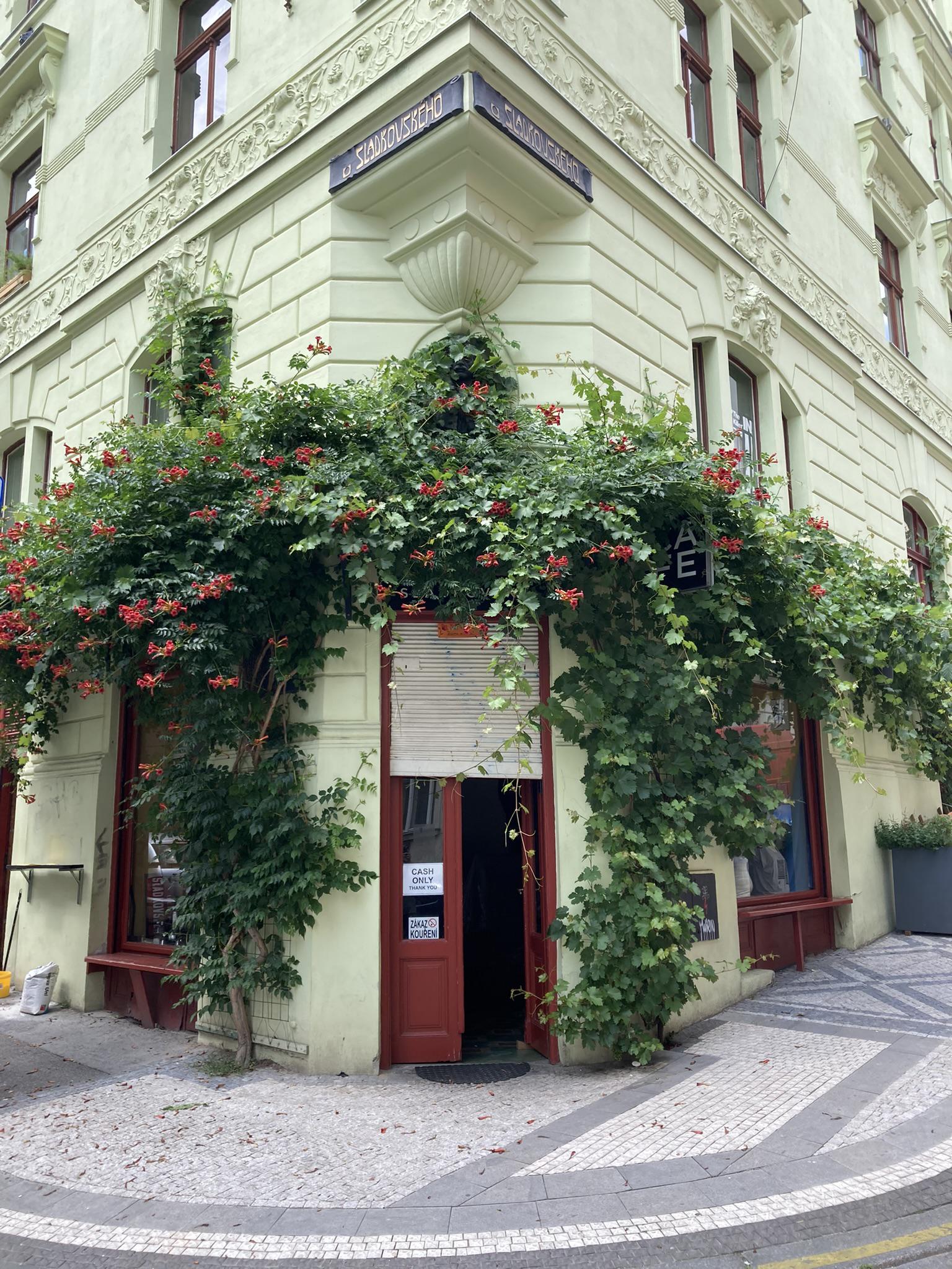 Café Sladkovský foto 3