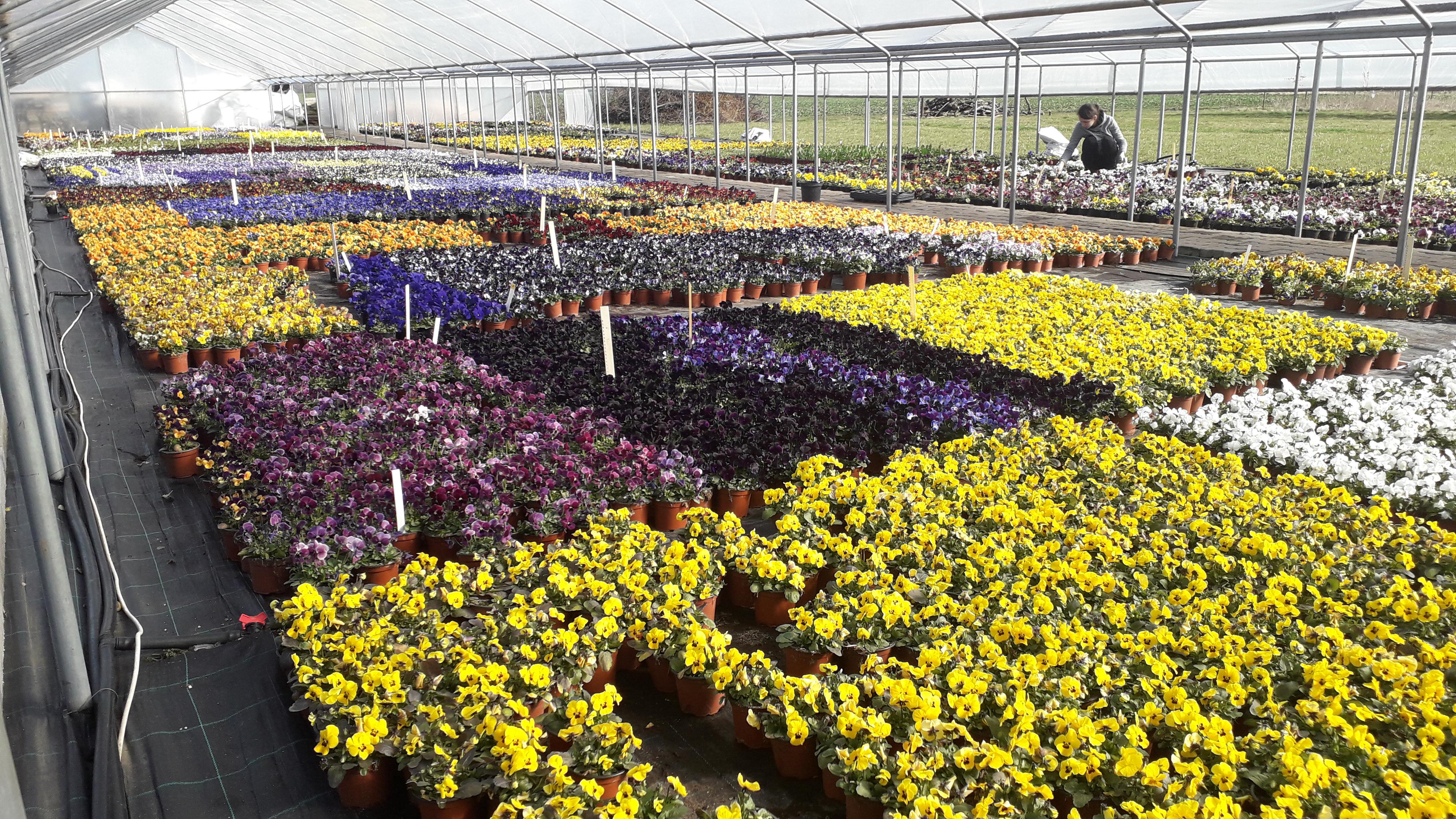 Zahradní centrum Skochovice