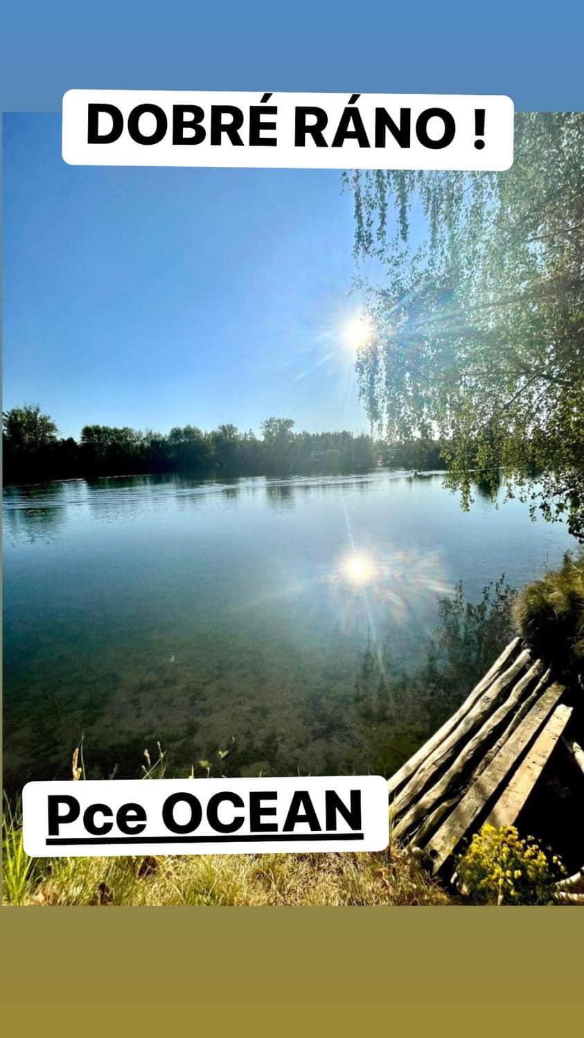 PceOCEAN foto 5