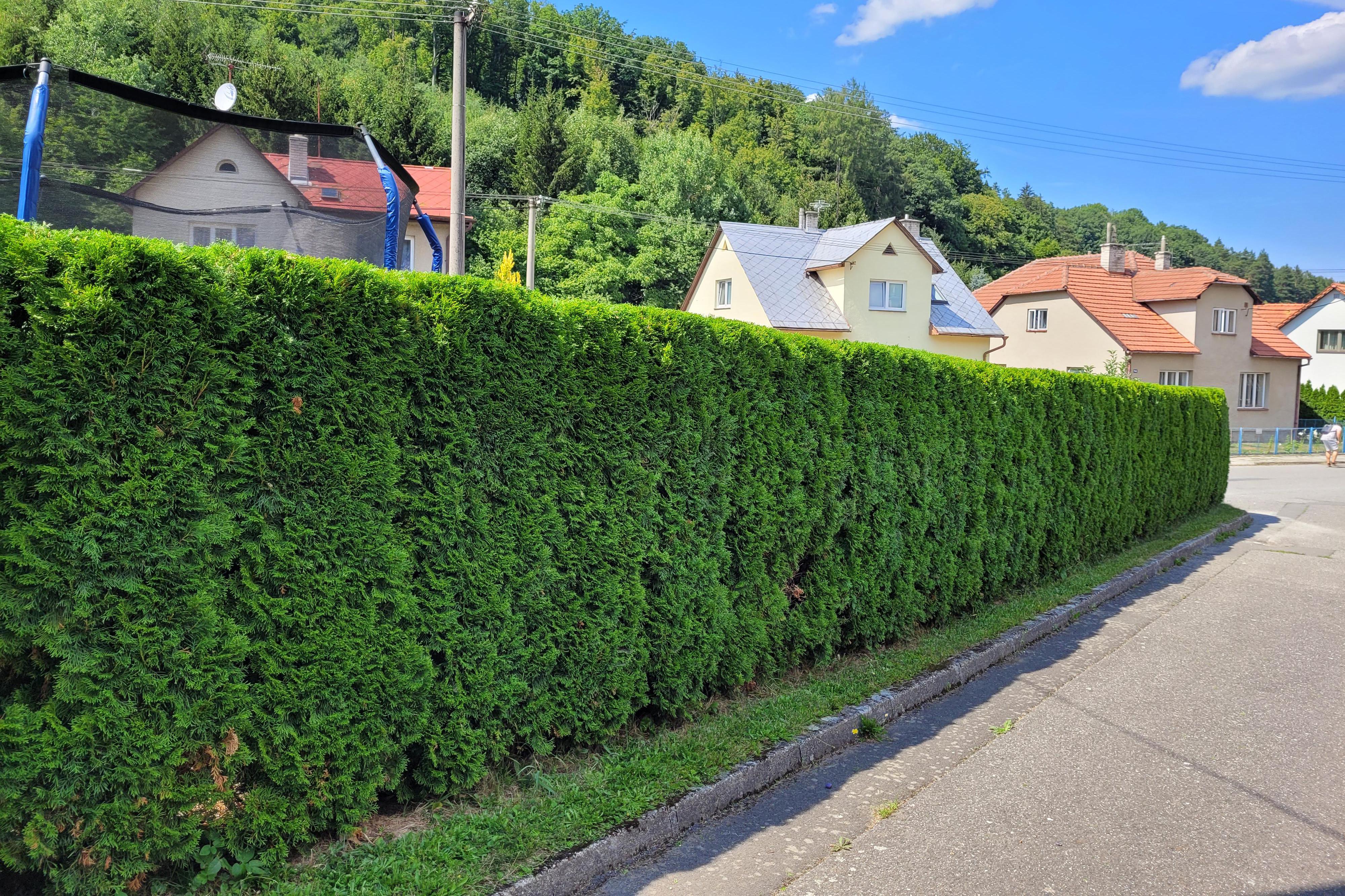 Údržba zahrad a zeleně Miloš Urban