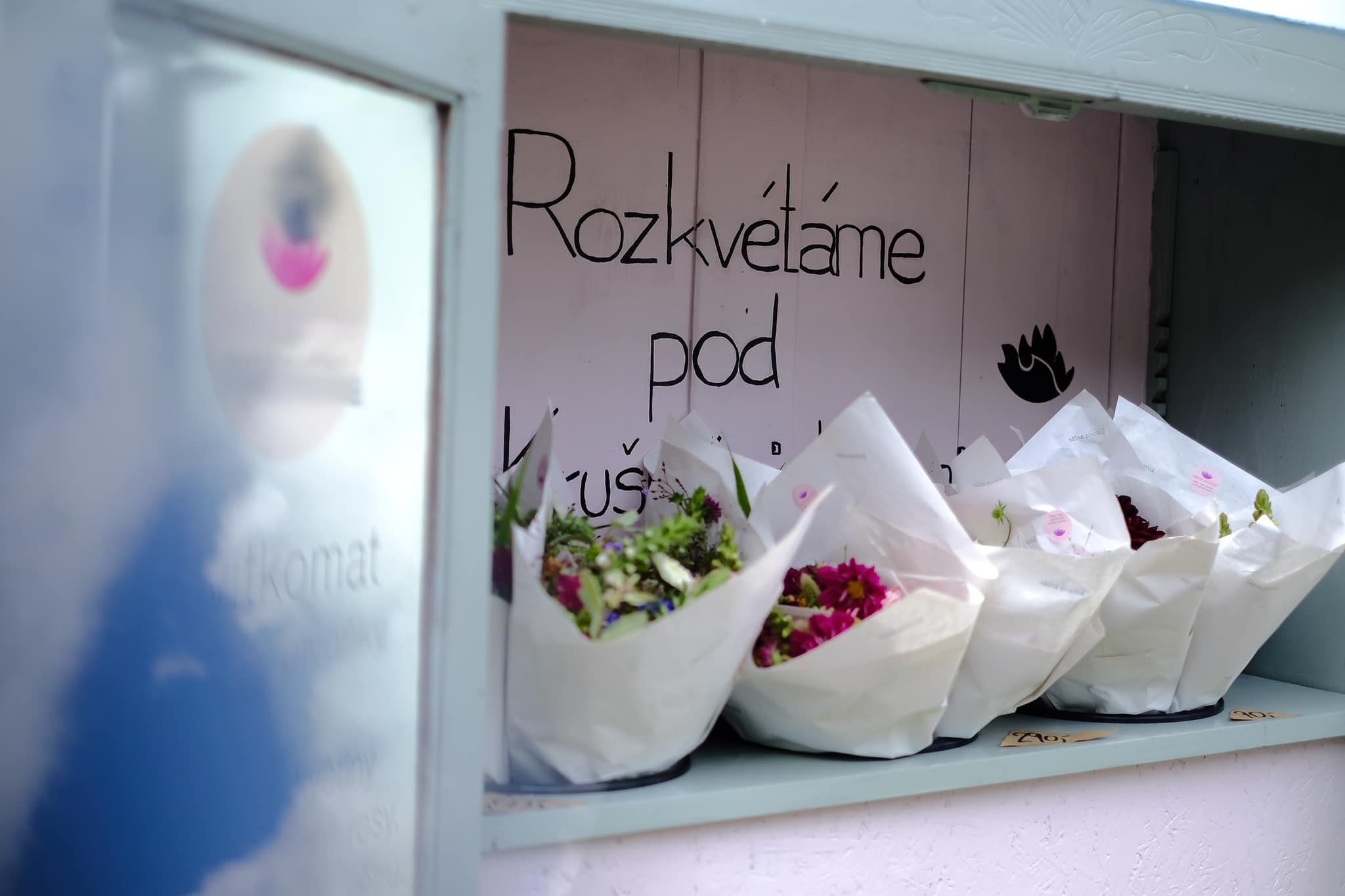 Něžná Pivoňka foto 3