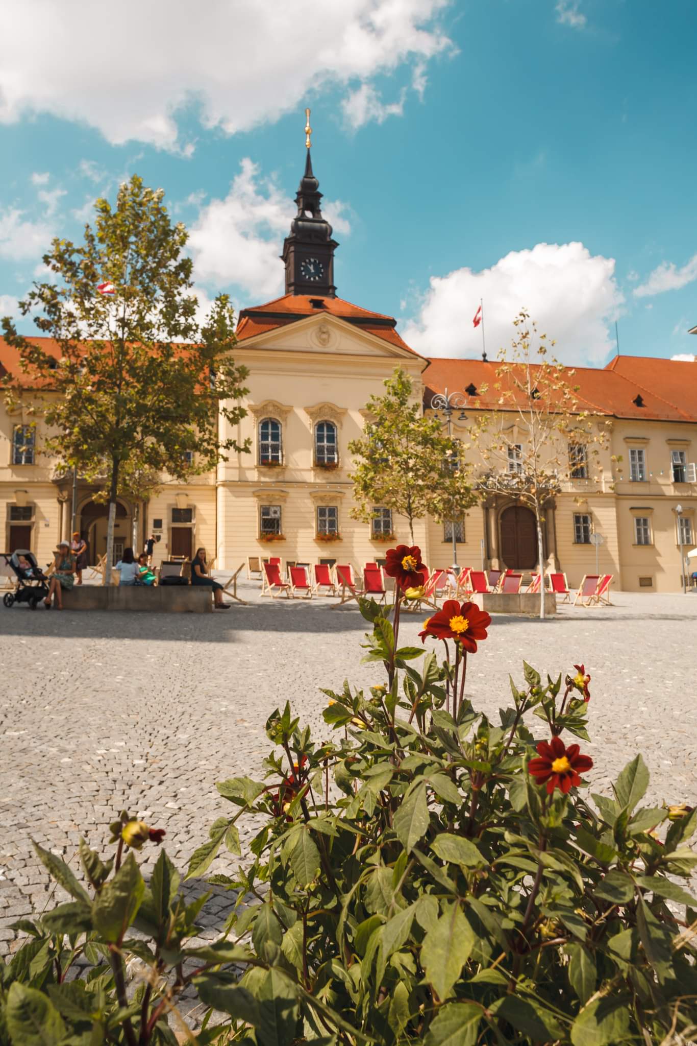 Magistrát města Brna foto 6