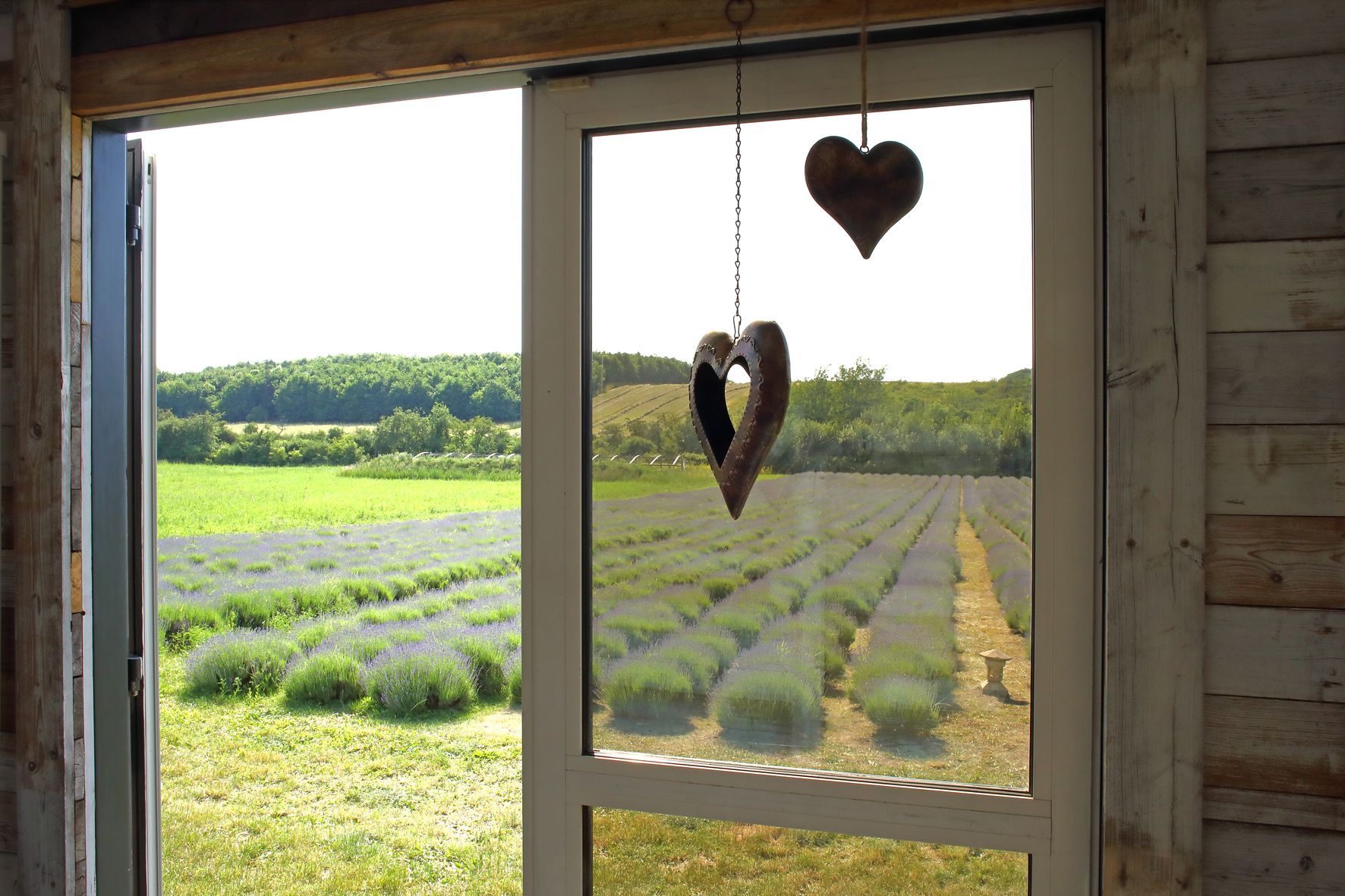 Ubytování v Levandulovém údolí foto 2