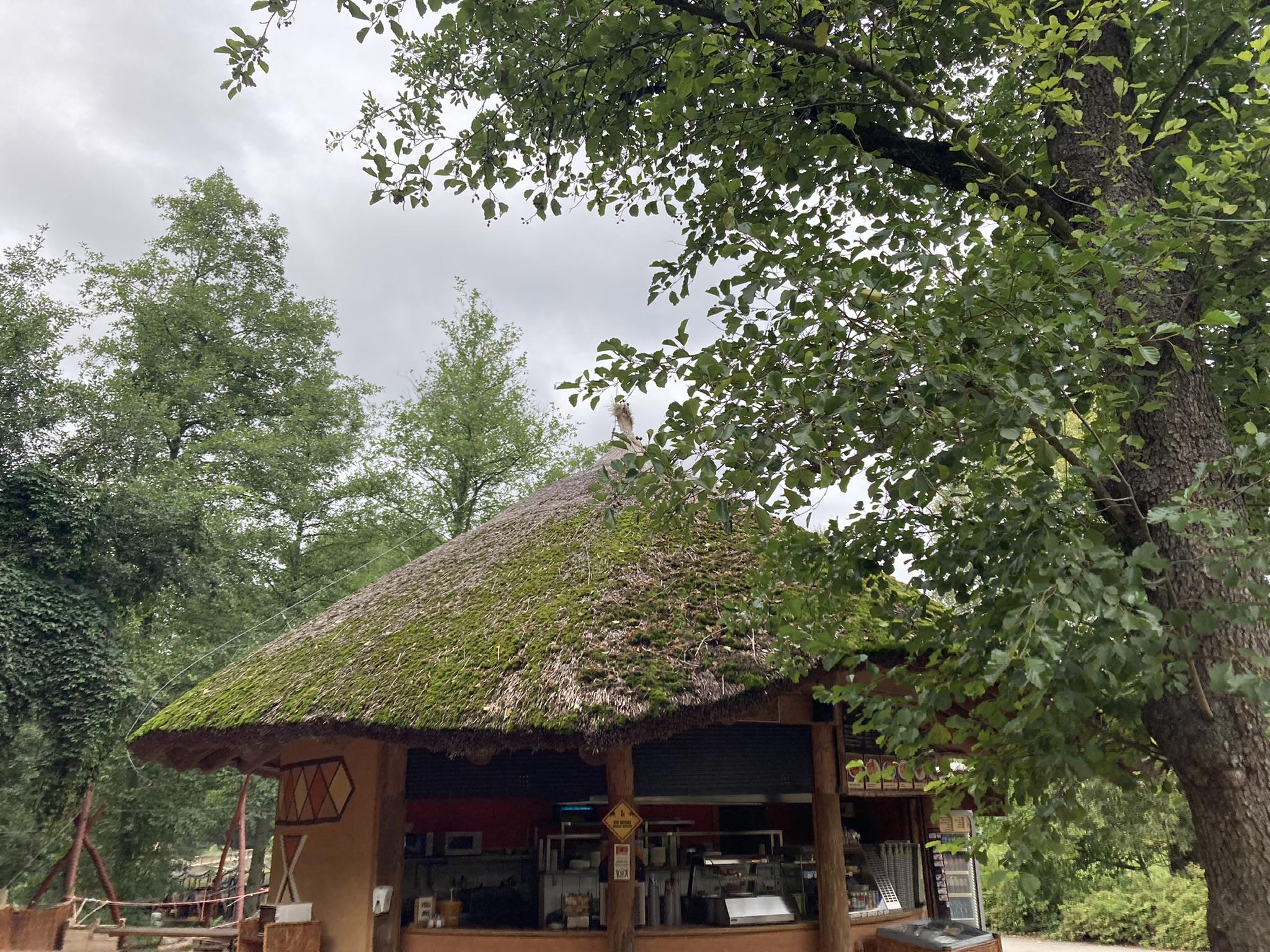 Restaurant KIFARU foto 5