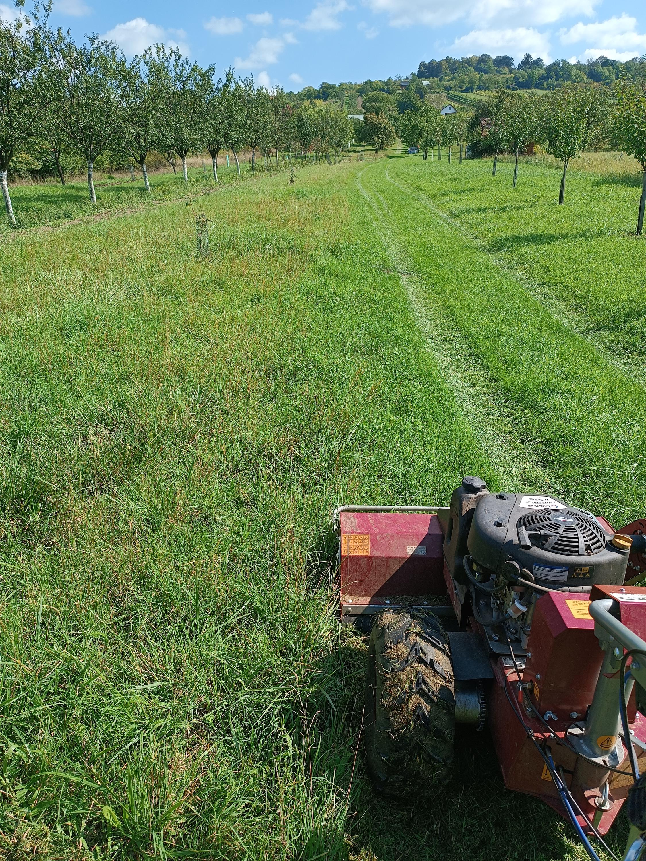 Zahradní a lesní práce Koštuřík - Zalko foto 4