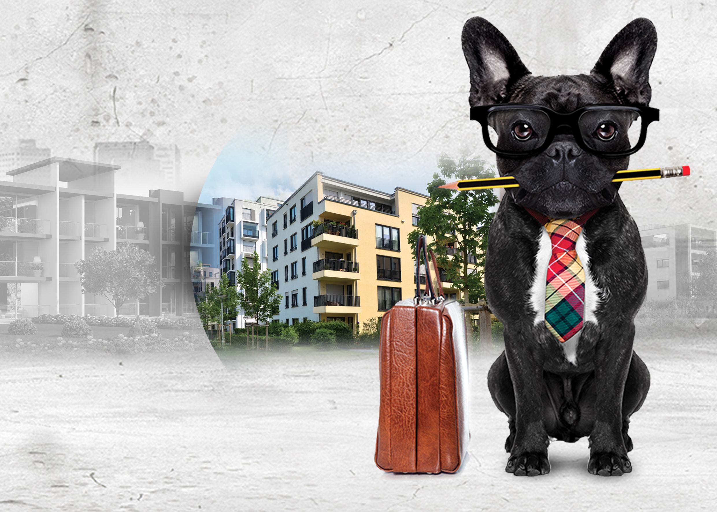 AdminReal | správa nemovitostí foto 2