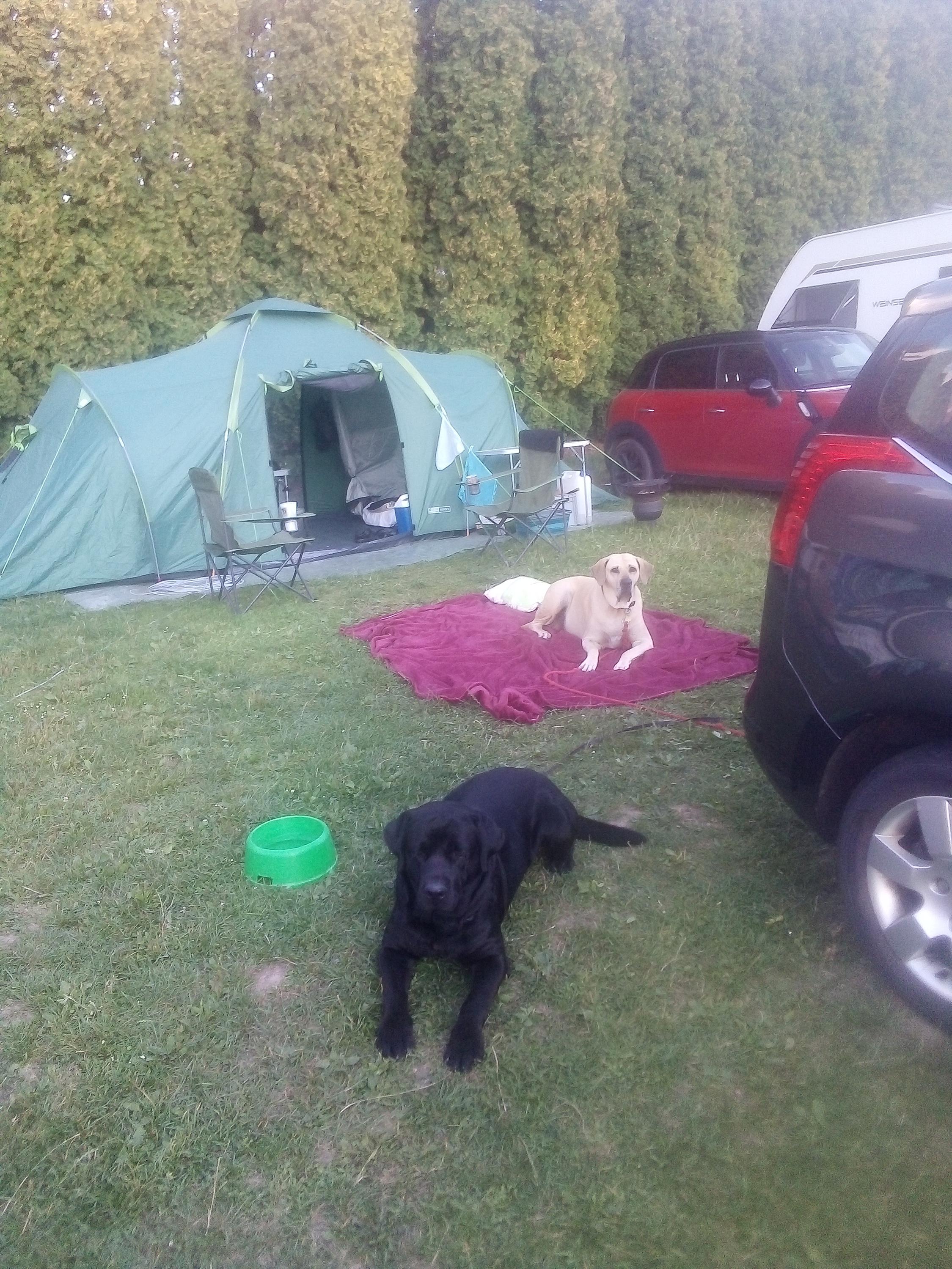 Camping Olšina foto 4