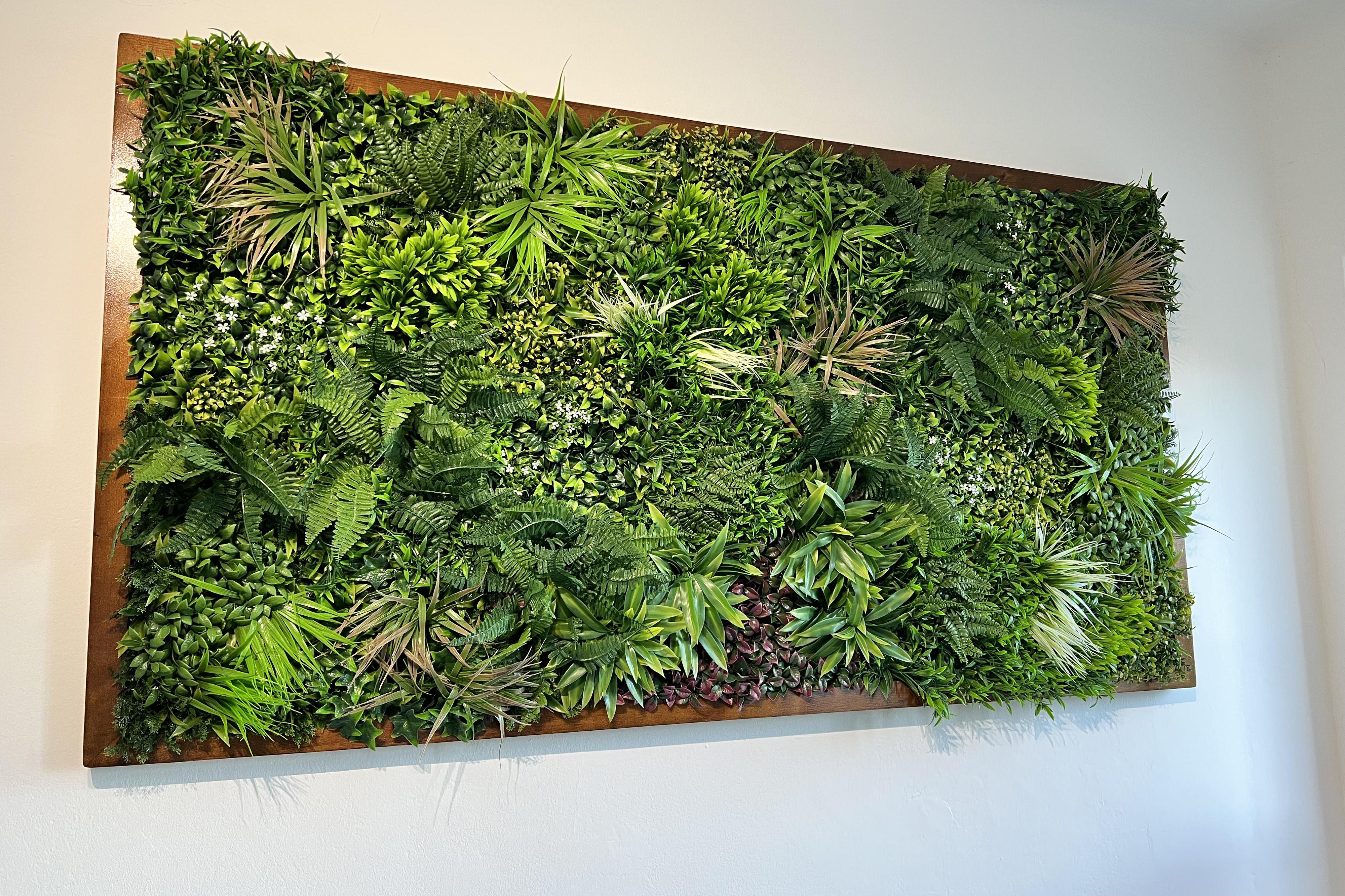 Umělé Stěny - Zelené Stěny