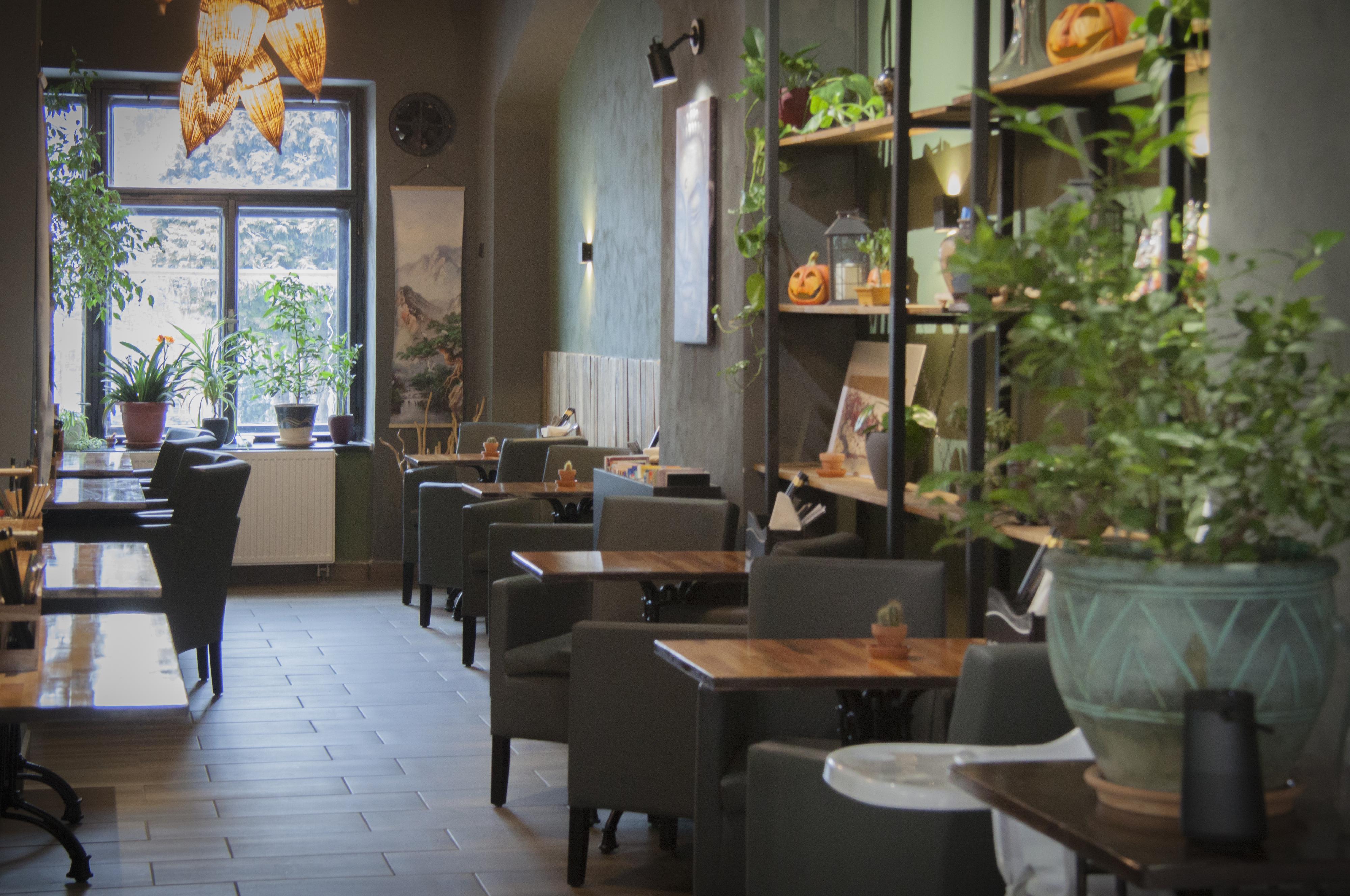 UMAMI Česká Třebová