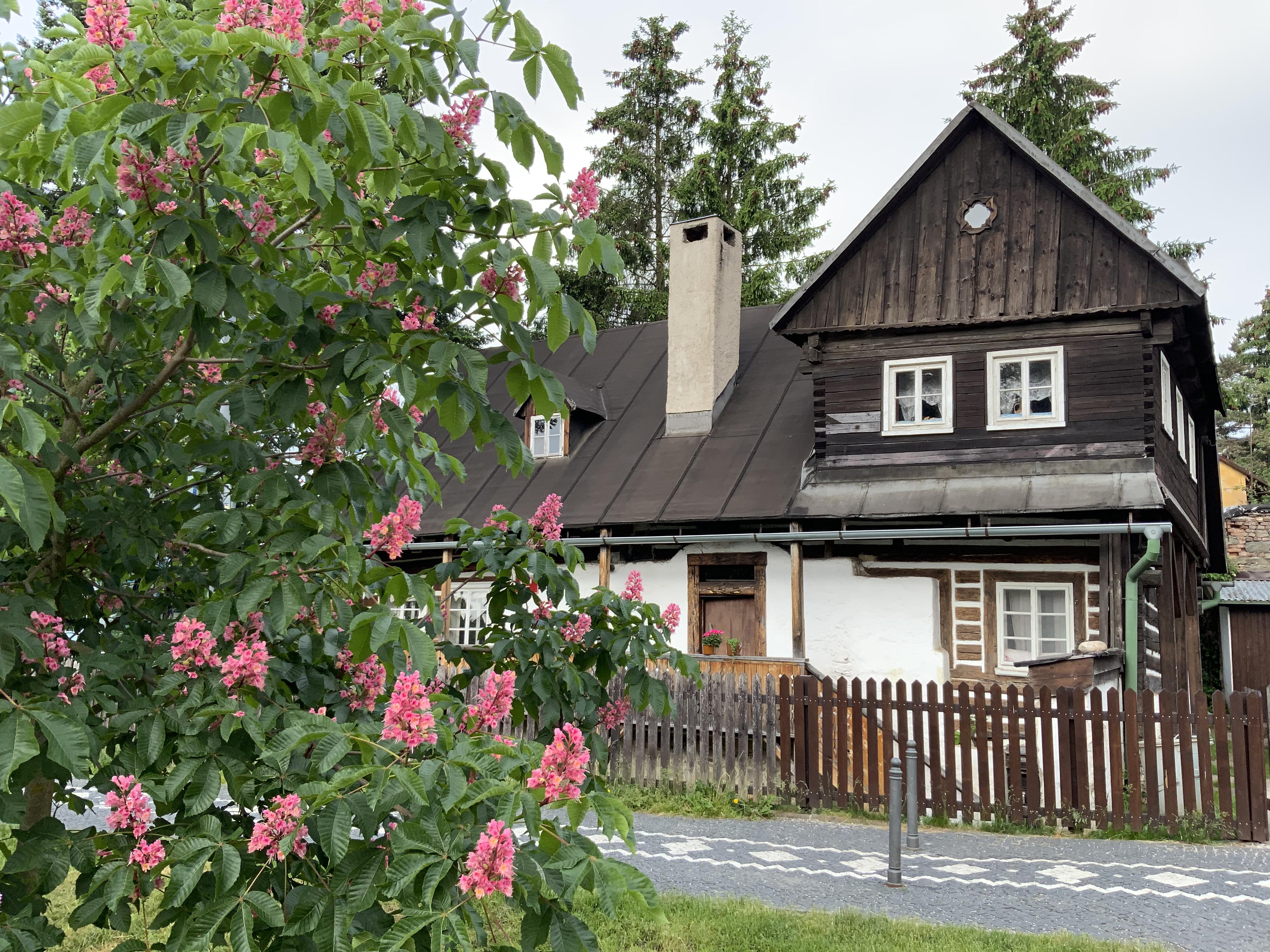 Kavárna 7 štítů foto 6