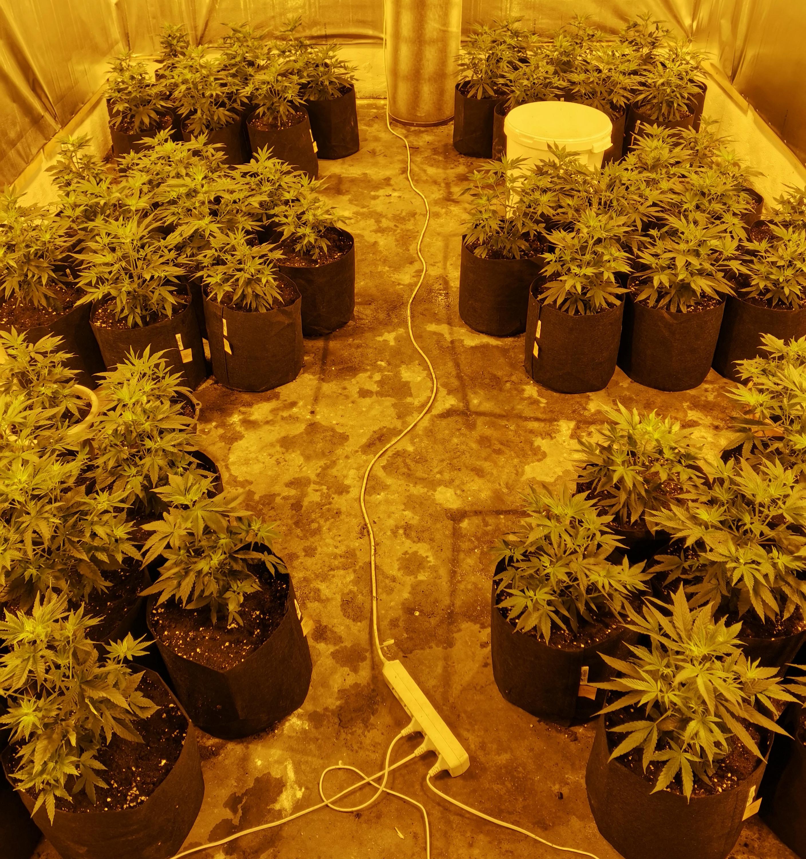 CBD Moravia spol. s r.o. foto 4