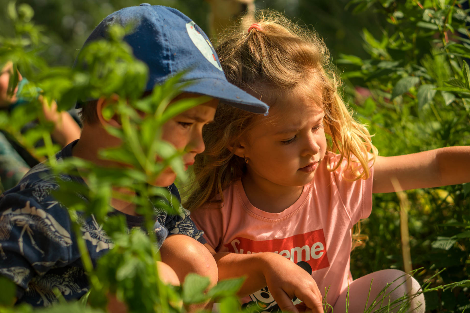 Lesní klub Včelička - Hamry u Hlinska foto 6