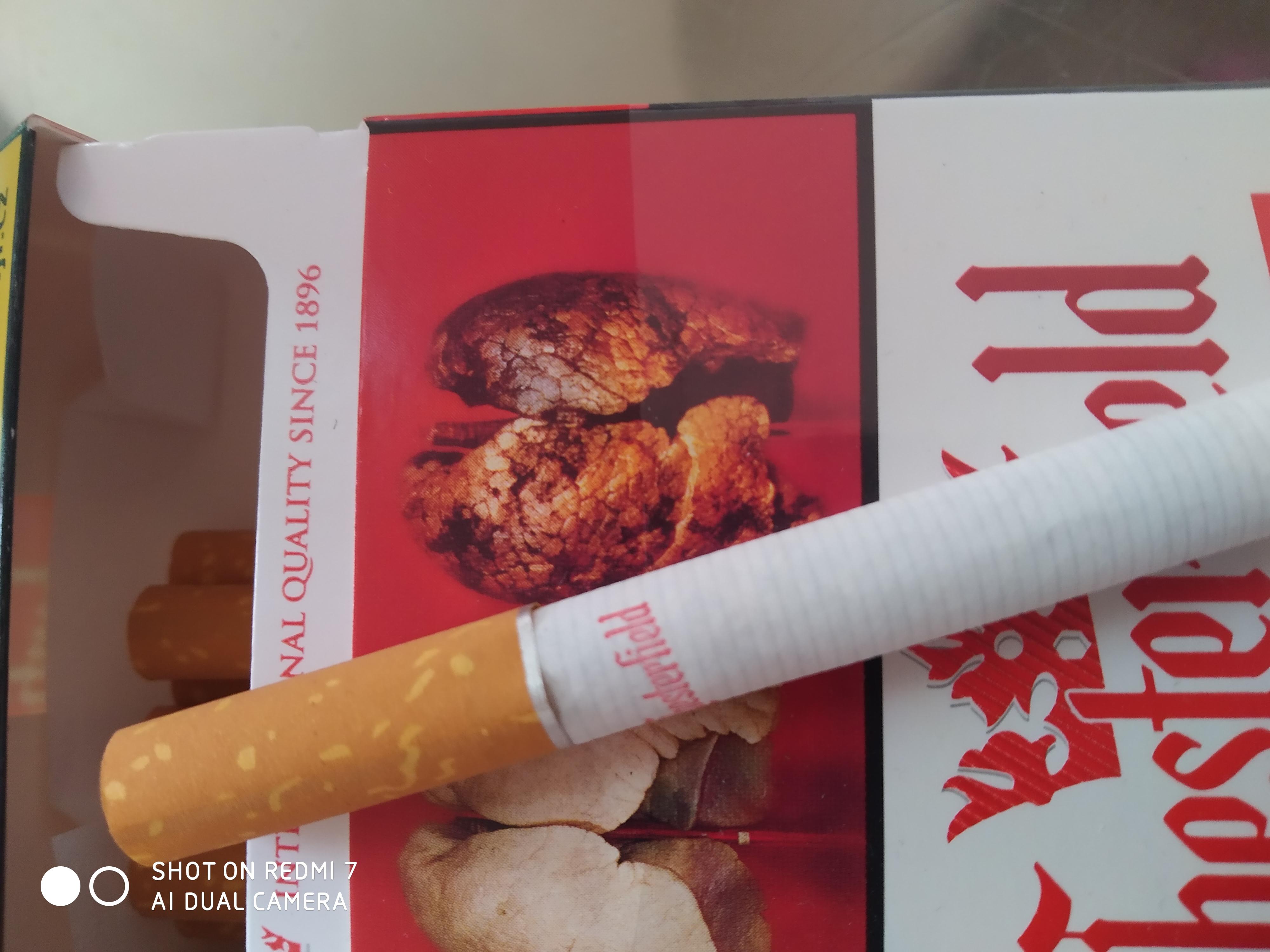 Philip Morris ČR, a.s. foto 2