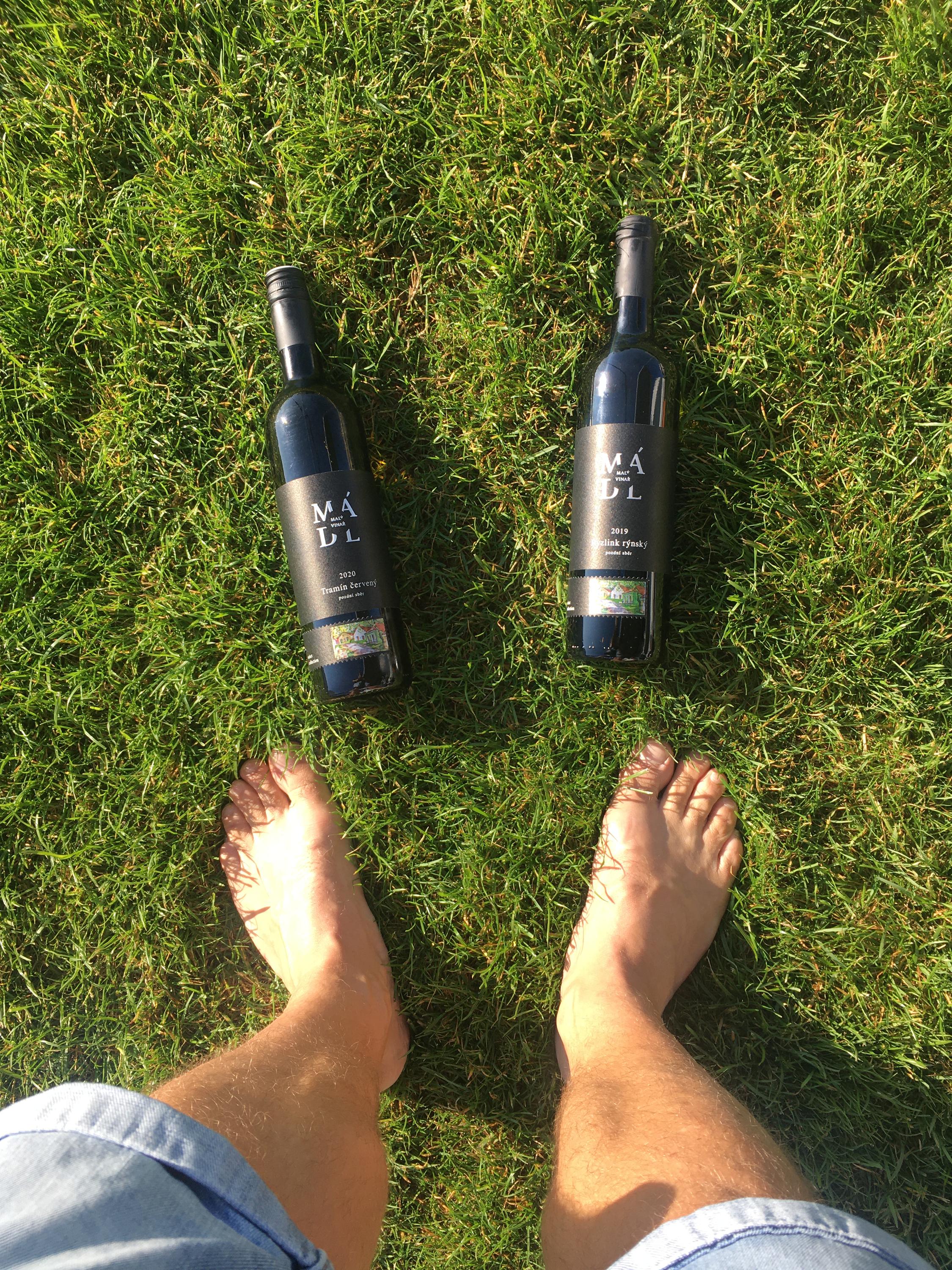 Stellplatz Velké Bílovice foto 6