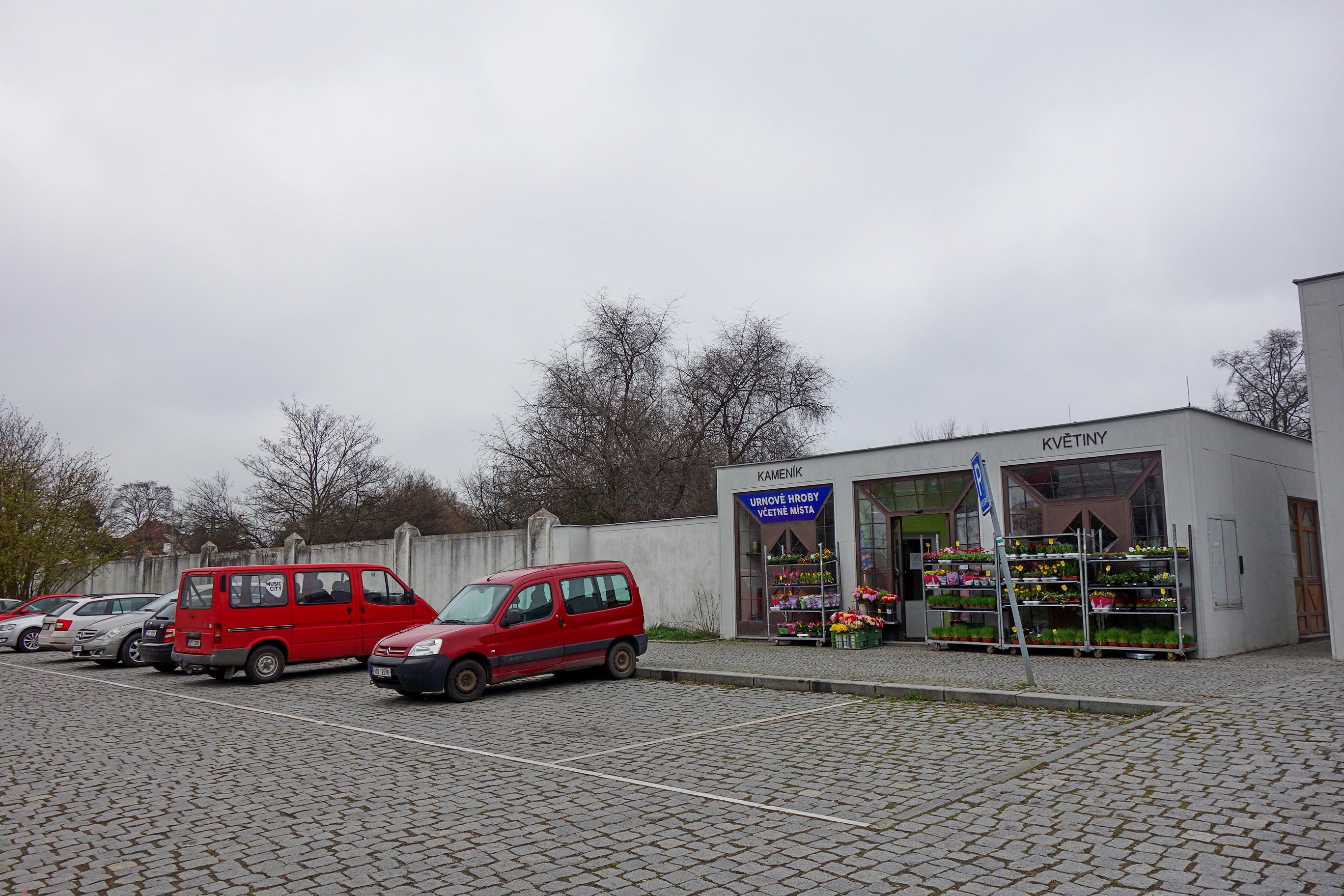 Květiny Lilian flow foto 2