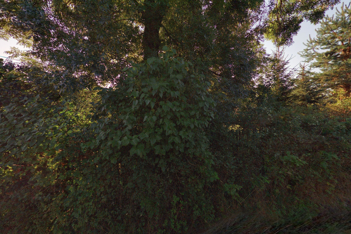 Ing. arch. Martin Plevný - Projektová dokumentace