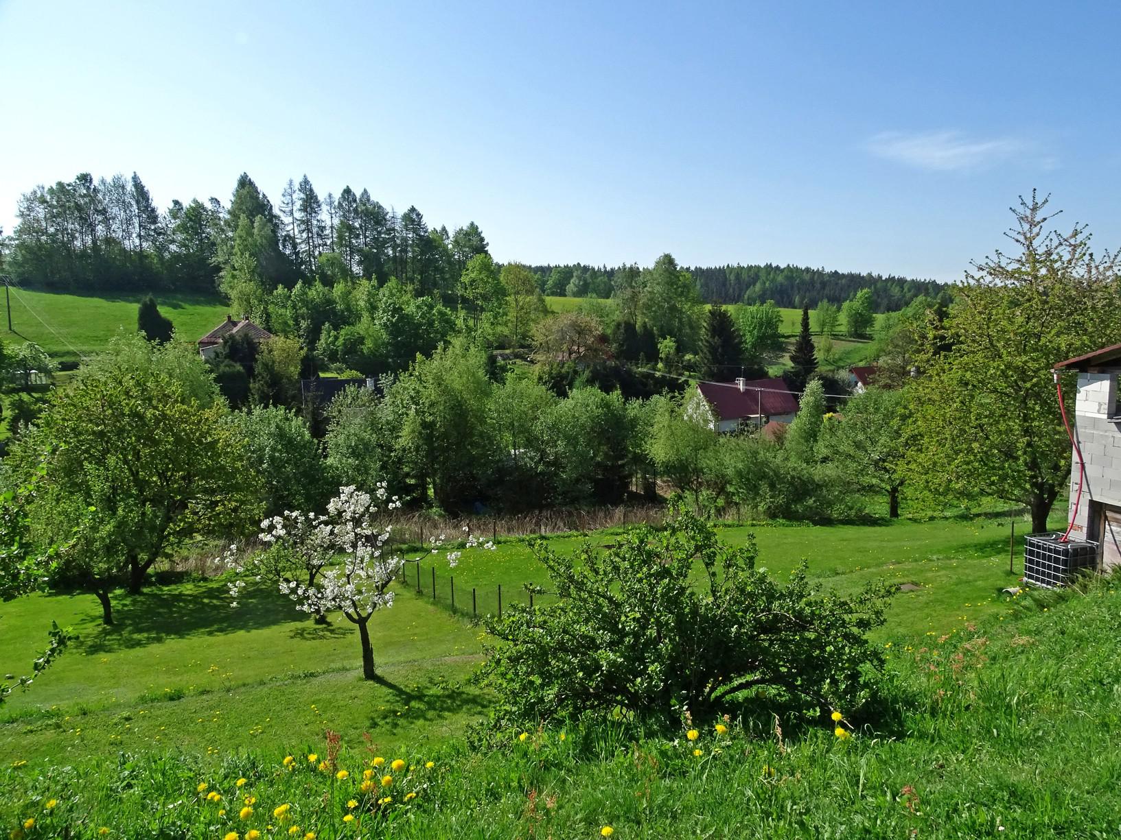 Borová - obecní úřad foto 6