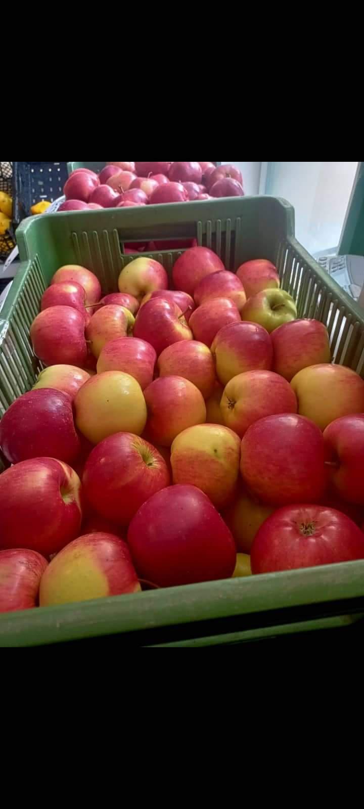 Zelenina a ovoce Iva Planičková foto 6