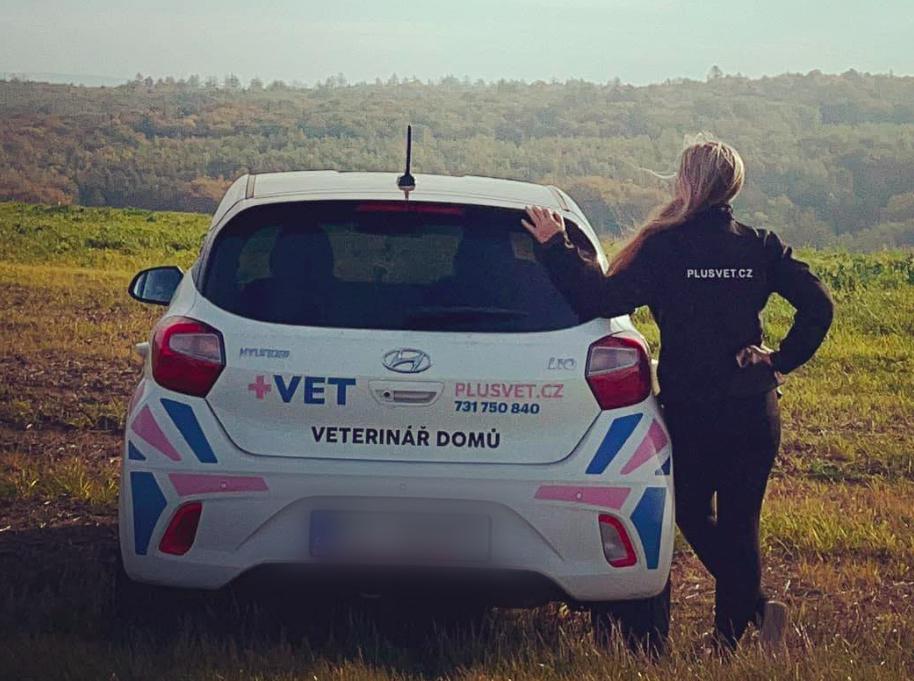 Veterinář domů Brno +VET plusvet.cz foto 4