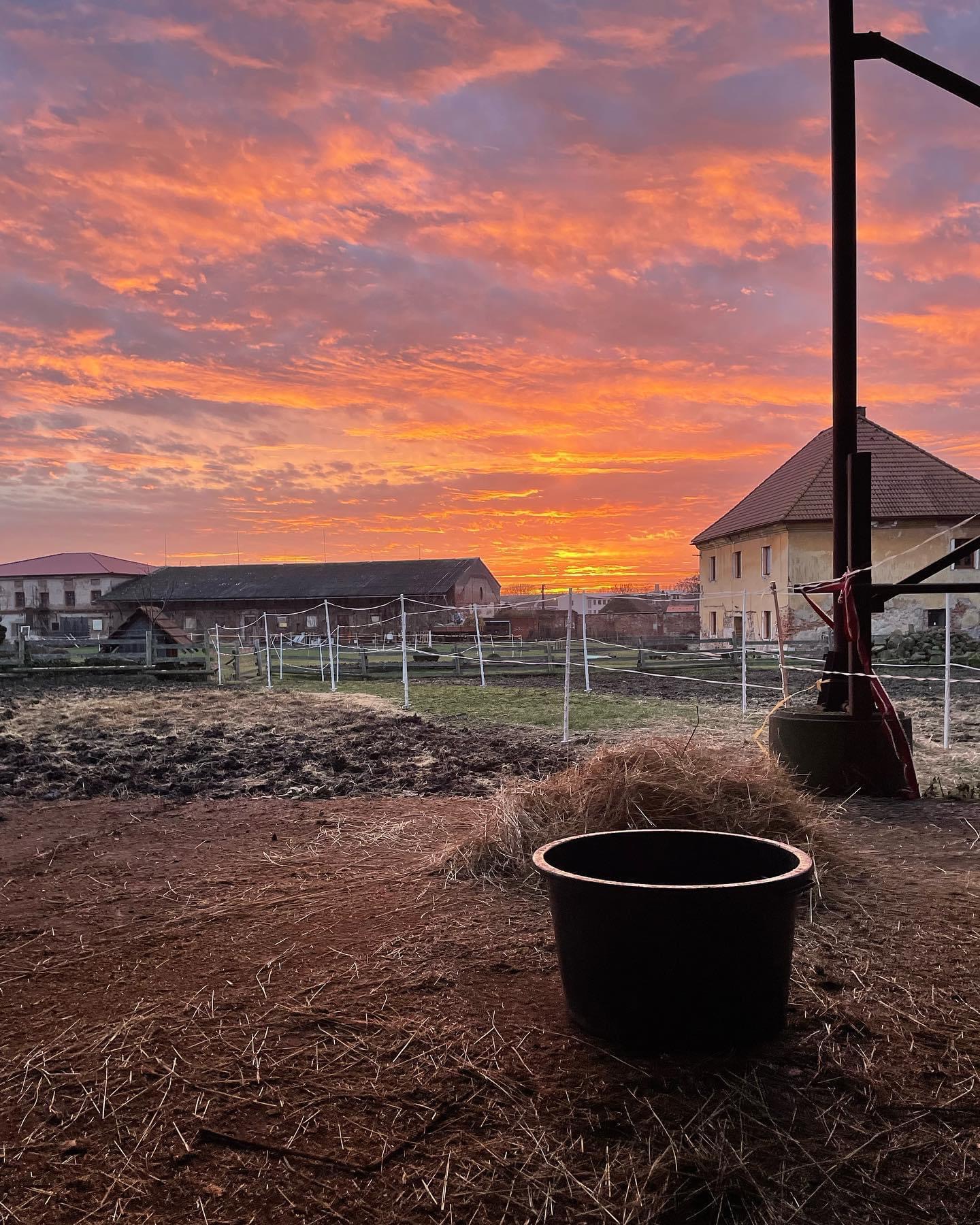 TJ Zámecký hřebčín z.s. foto 2