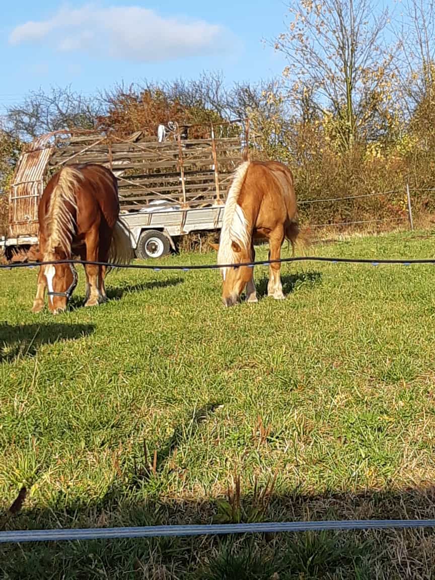 Ranč u Jasanu foto 5