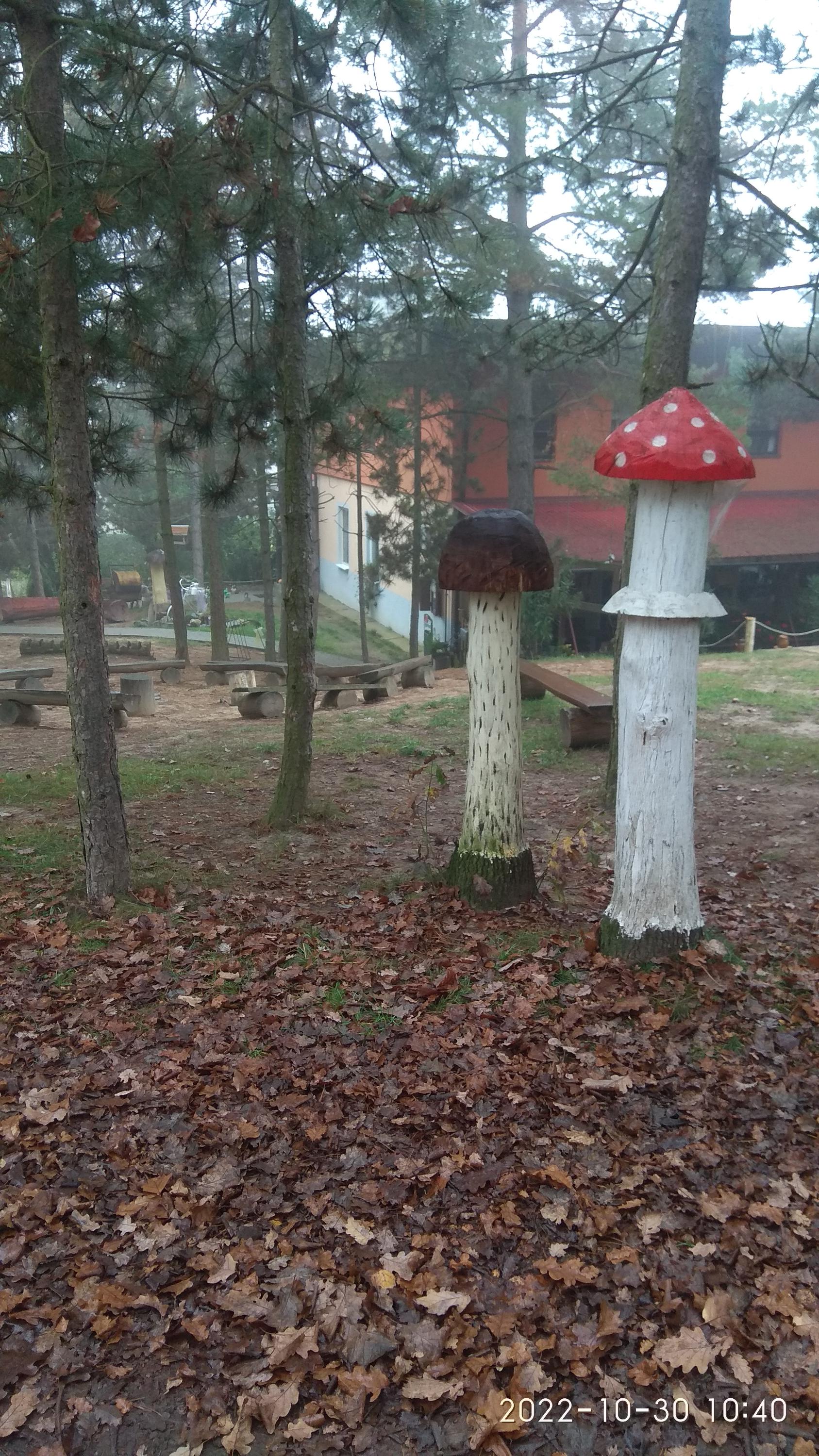 Rekreační středisko Relaxx foto 3