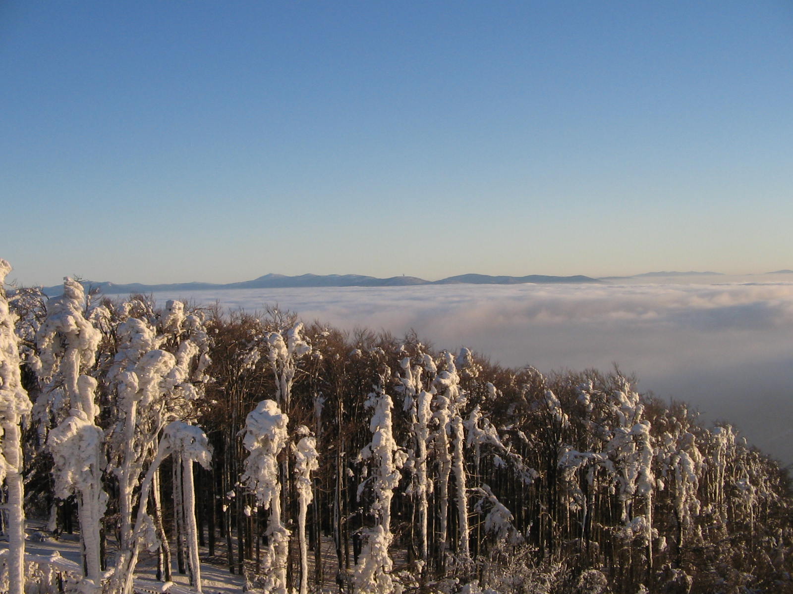 Domažlické městské lesy foto 4