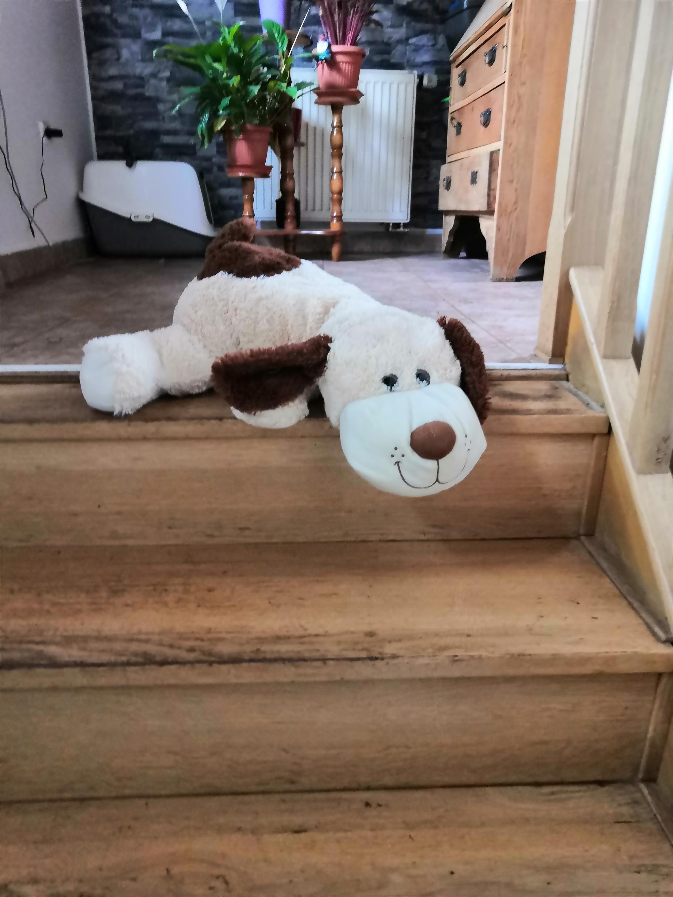 Penzion Slunovrat foto 4