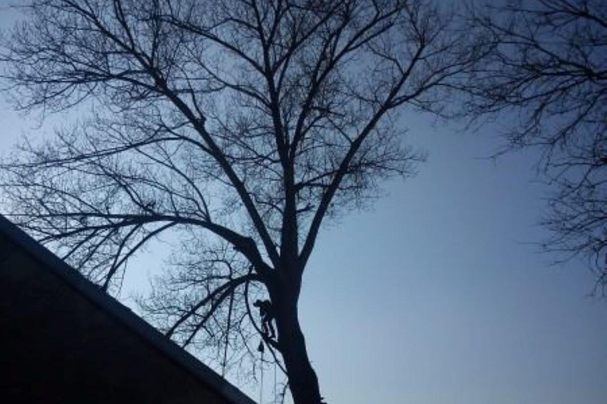 Výškové práce - Plaček