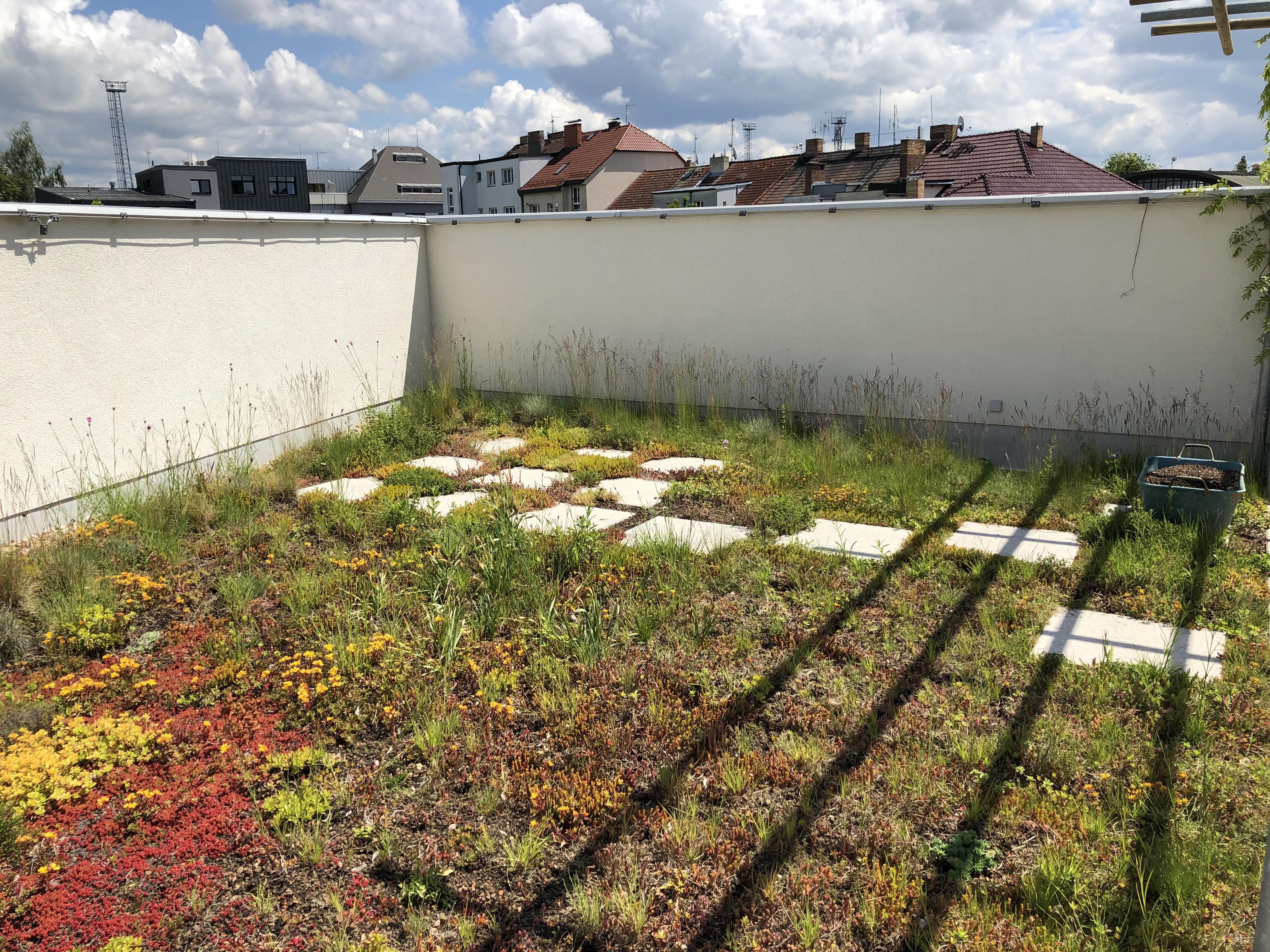 GreenVille - zelené střechy foto 6