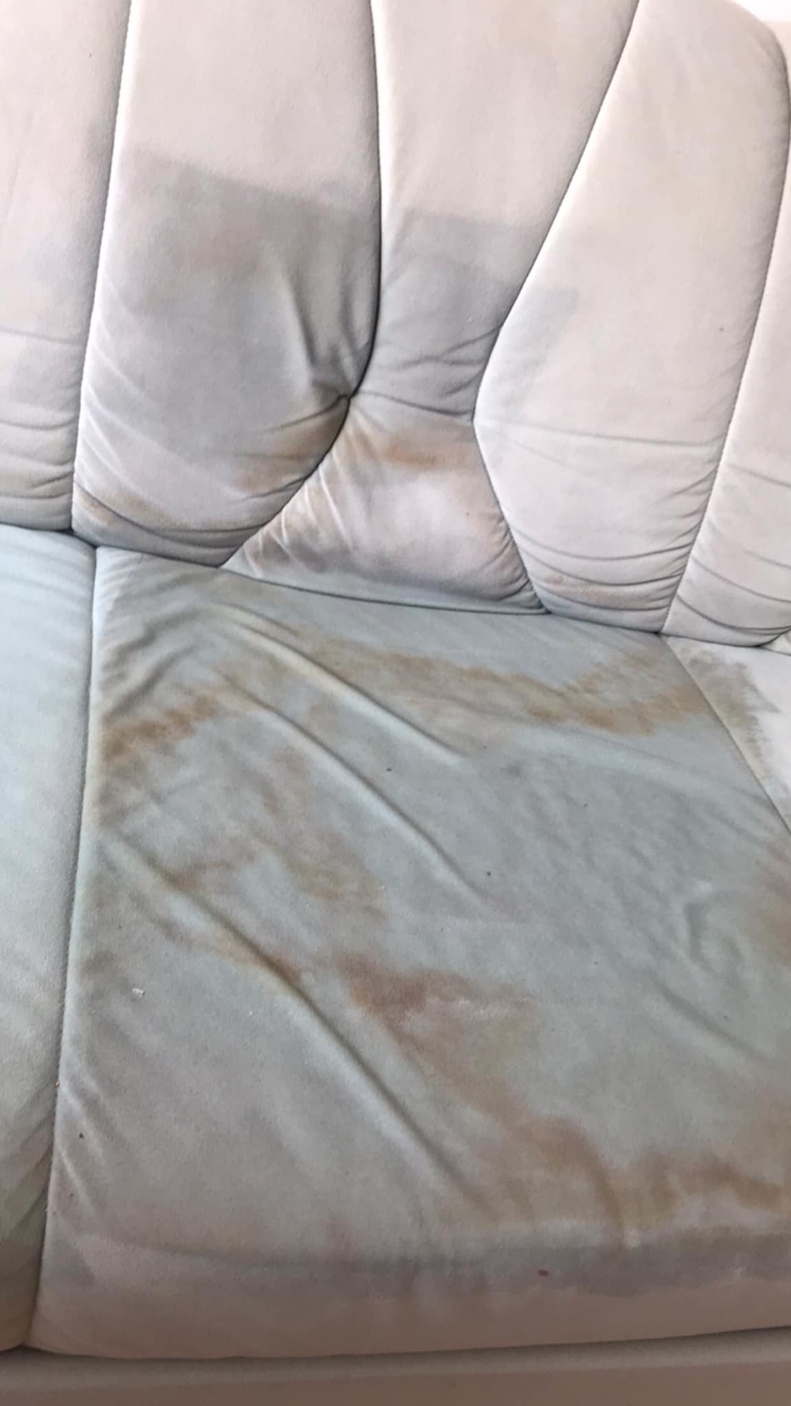 VIP cleaning service s.r.o. foto 3